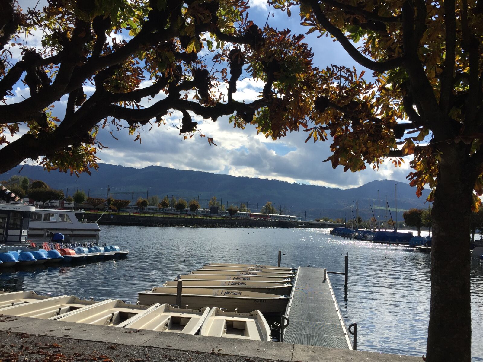 iPhone 6 back camera 4.15mm f/2.2 sample photo
