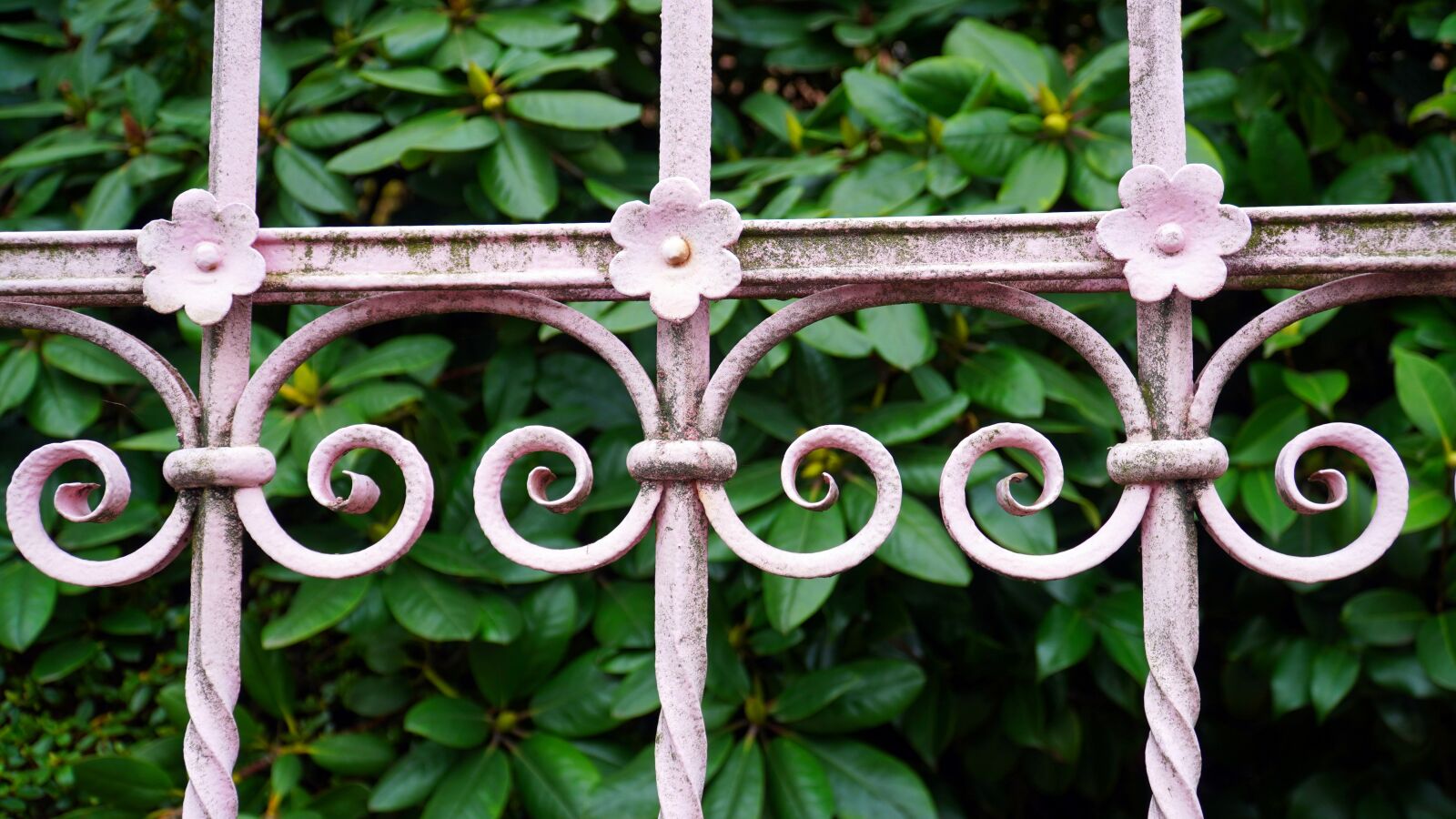 Sony E PZ 18-105mm F4 G OSS sample photo. Garden fence, metal, old photography