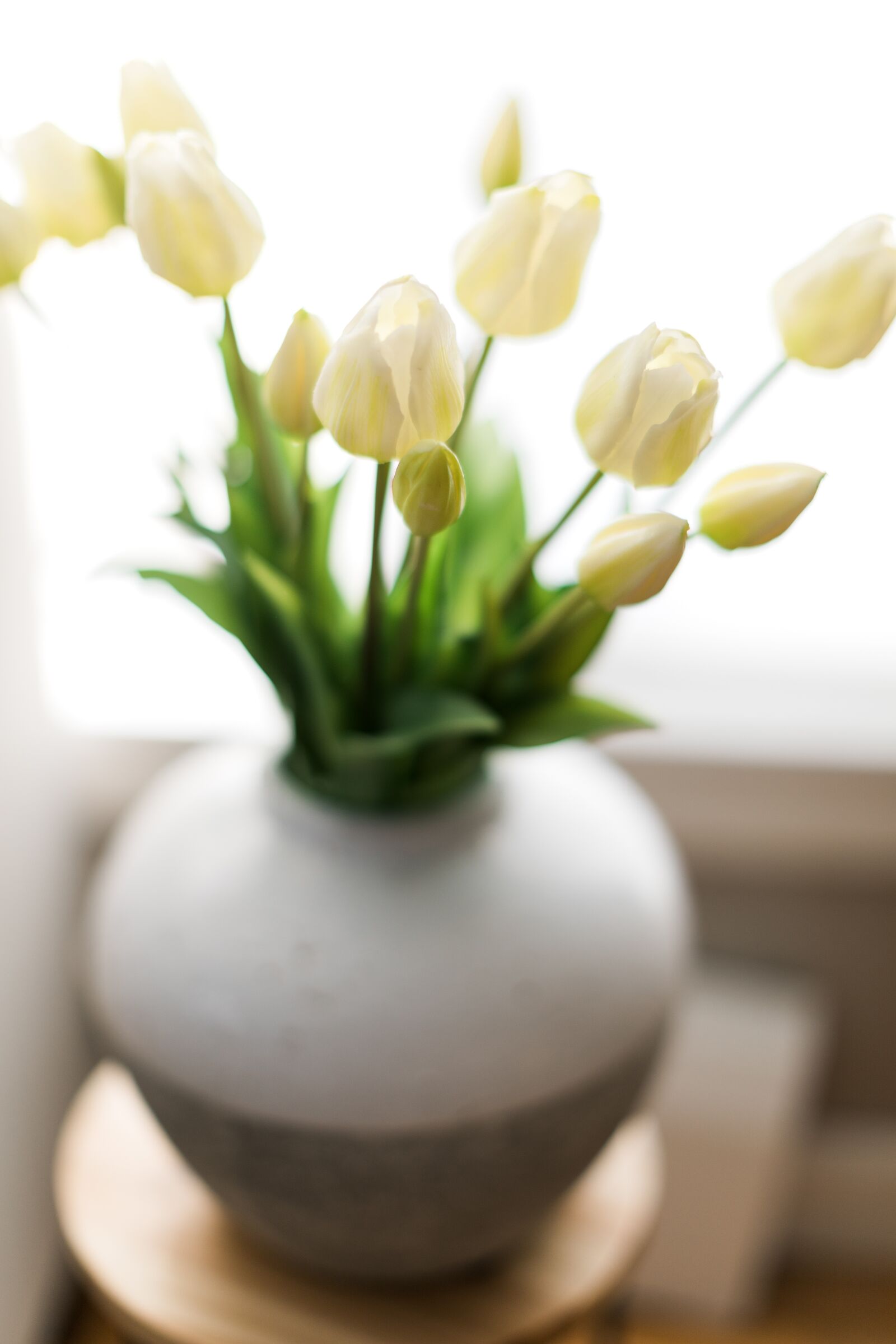 Canon EF 50mm F1.2L USM sample photo. Easter, plant, decor photography