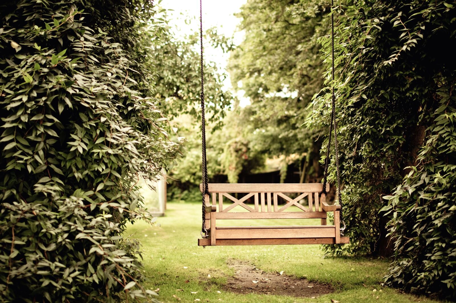 Canon EOS 5D Mark II sample photo. Garden, grass, tree, wood photography