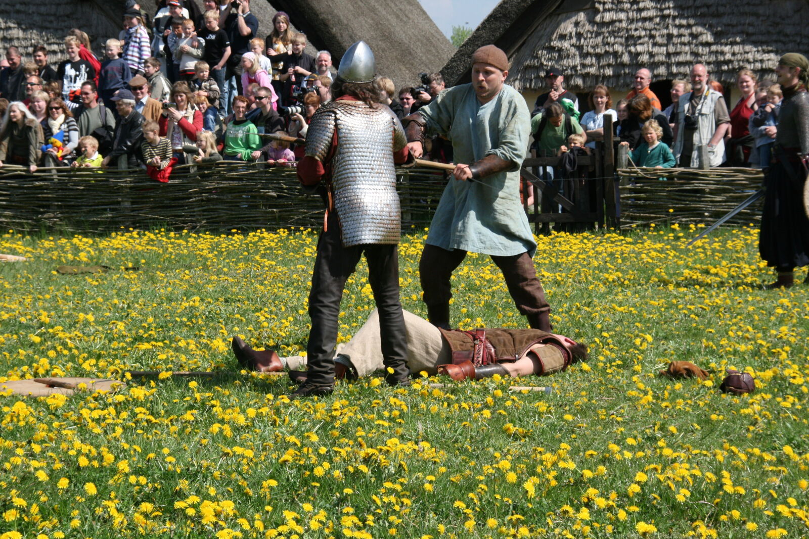 Sigma 18-200mm f/3.5-6.3 DC OS sample photo. Vikings photography