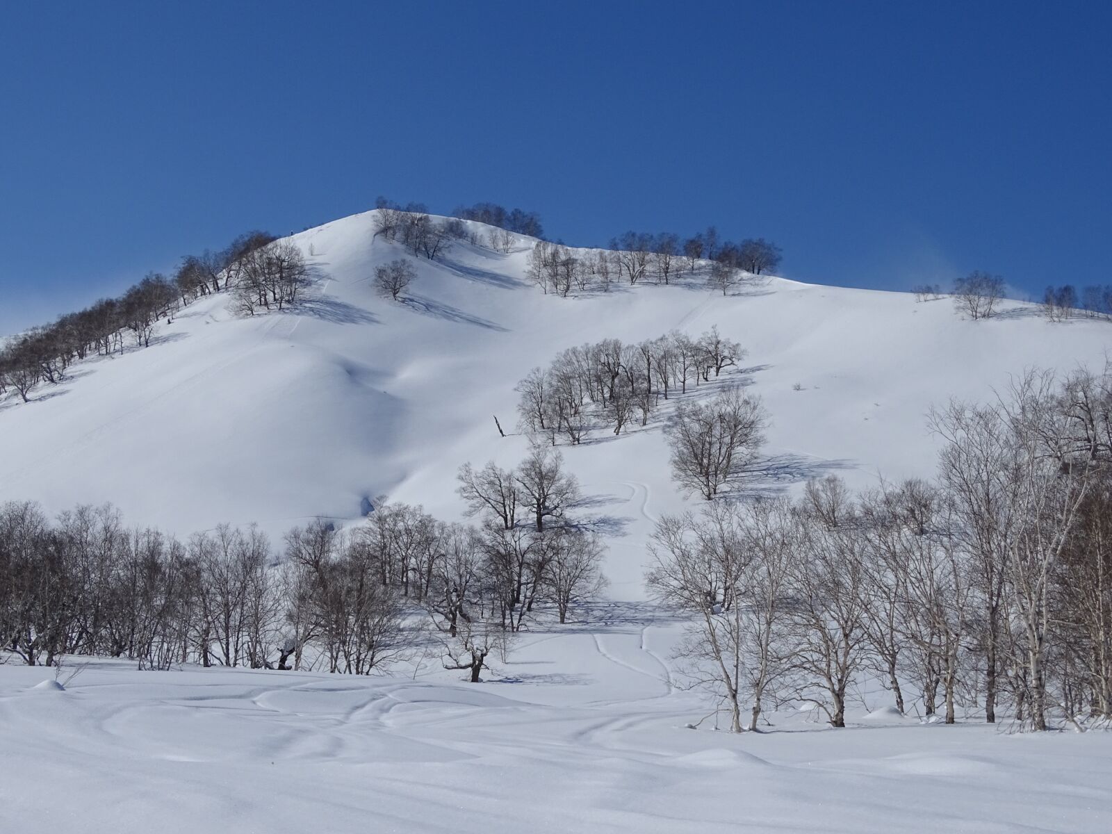Sony DSC-HX400 sample photo. Mountains, hill, forest photography