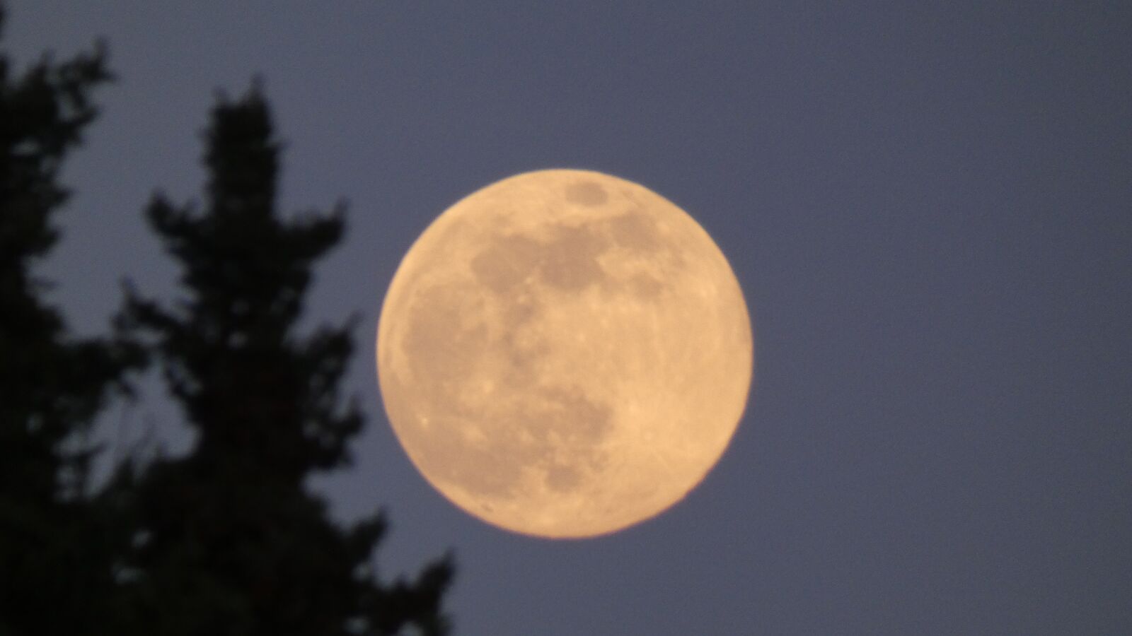 Panasonic Lumix DC-FZ80 (Lumix DC-FZ82) sample photo. Moon, full moon, night photography
