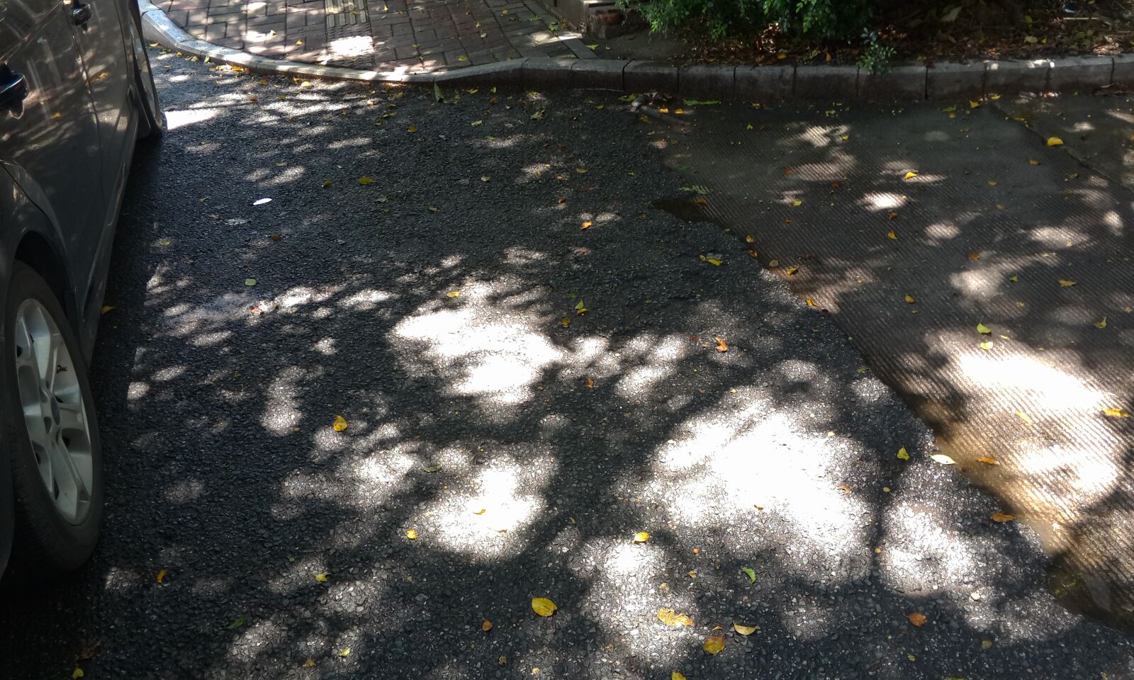 Meizu MX4 Pro sample photo. Shade, shadow, ground photography