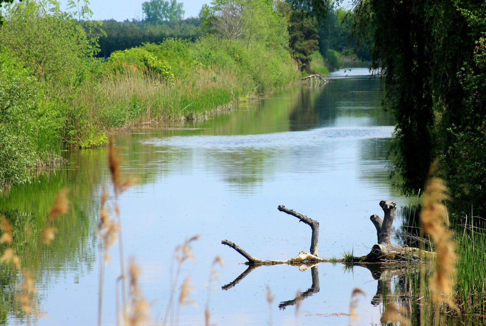 Canon EOS 1200D (EOS Rebel T5 / EOS Kiss X70 / EOS Hi) sample photo. Water, pond, landscape photography