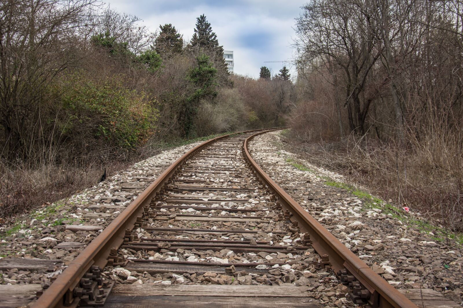 Nikon D7200 sample photo. Train, road, transportation photography