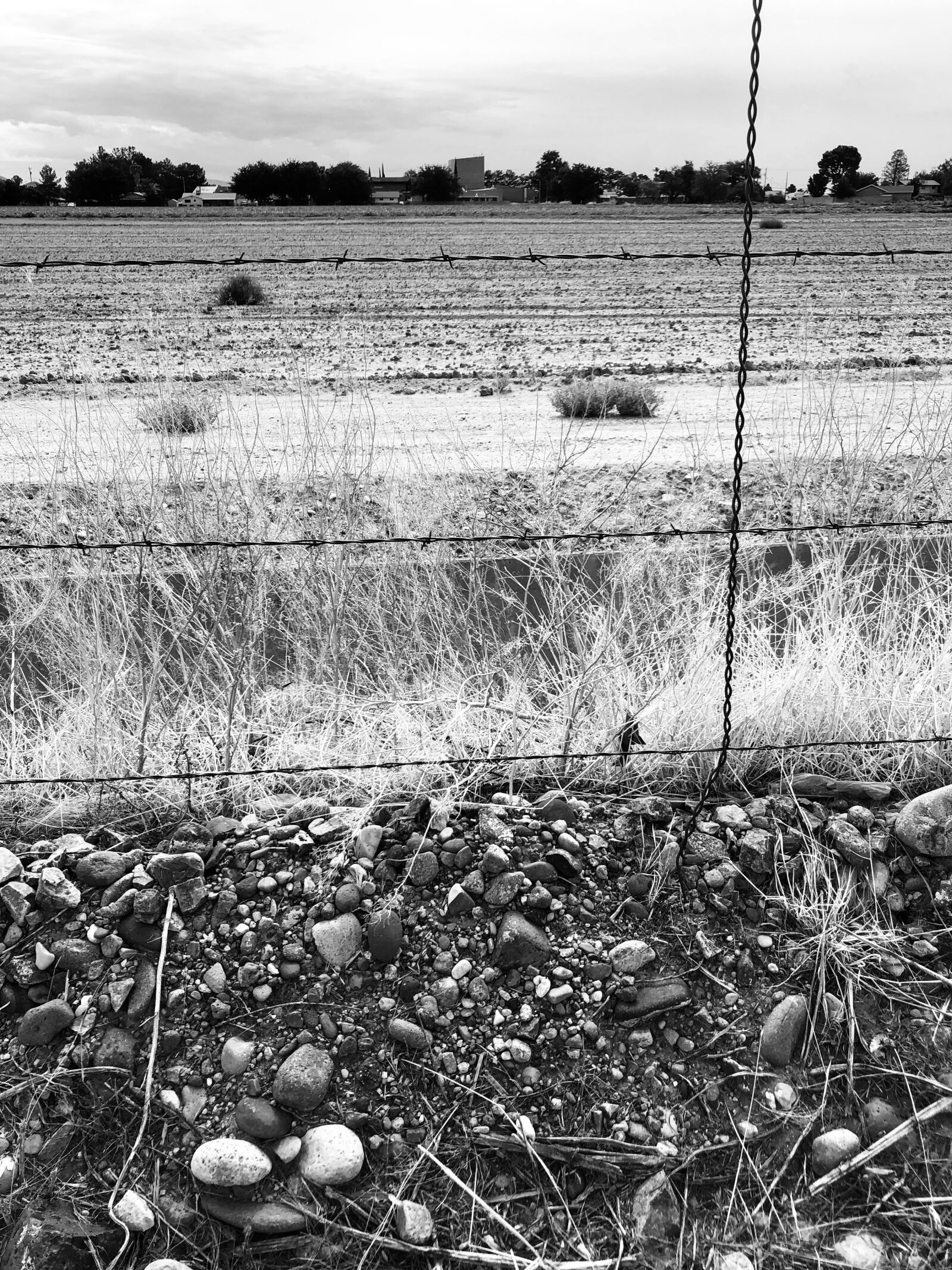 iPhone 8 back camera 3.99mm f/1.8 sample photo. Black and white, field photography