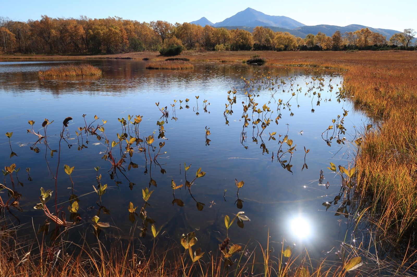 Canon PowerShot G7 X Mark II sample photo. Autumn, lake, forest photography