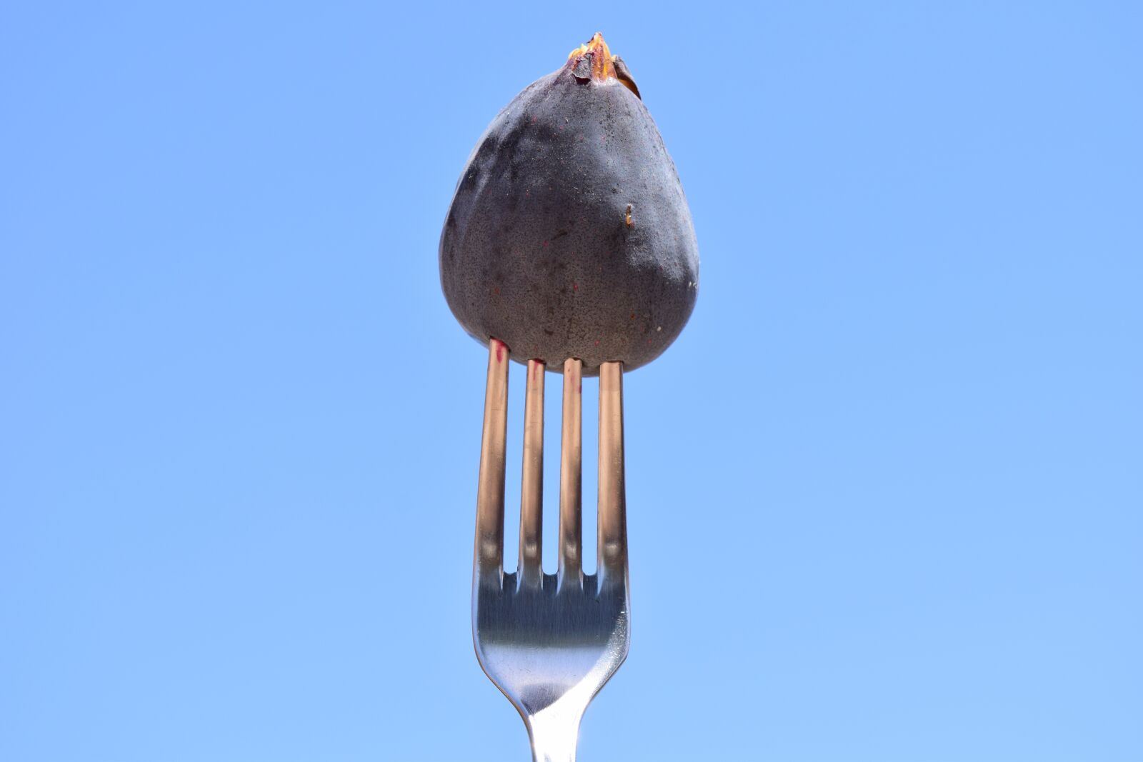 Nikon D3300 sample photo. Fig, fork, eat photography