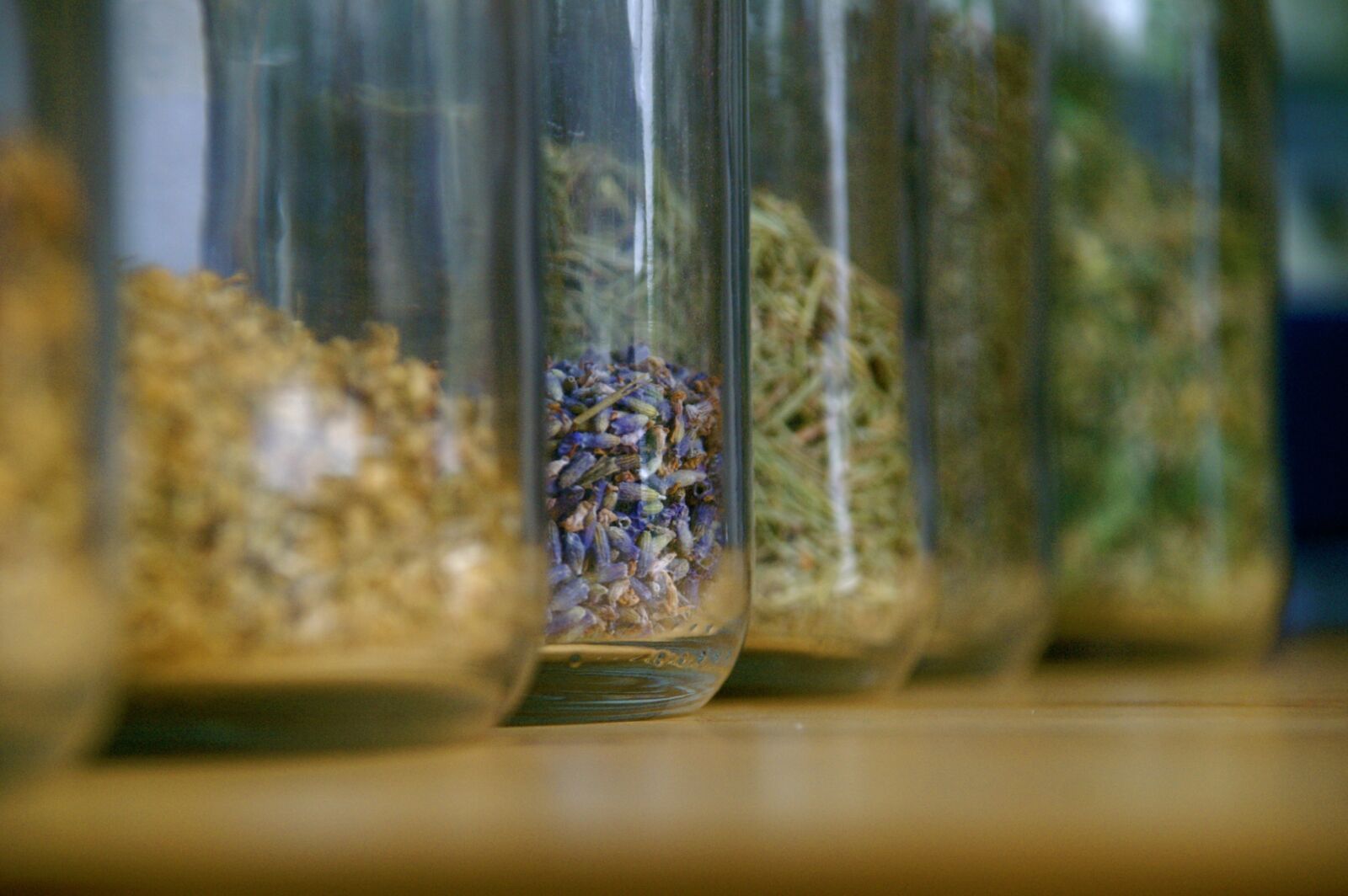 KONICA MINOLTA DYNAX 7D sample photo. Herbs, nature, healing photography