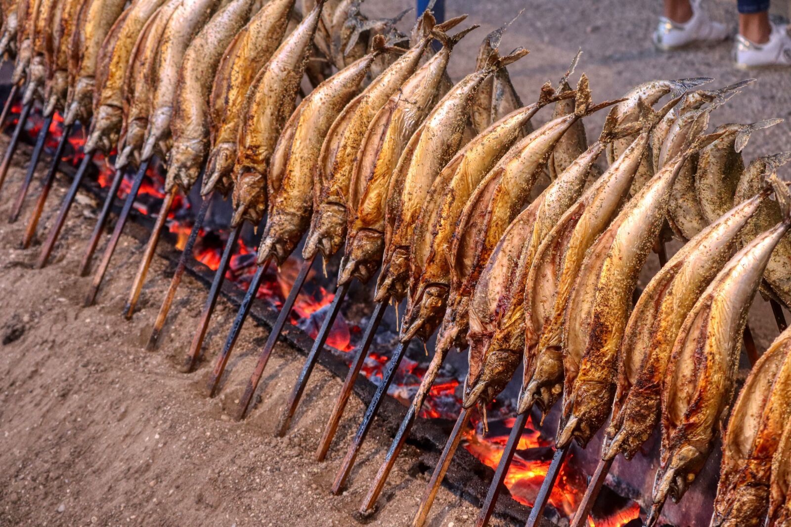 Canon EOS 80D sample photo. Fish, eat, grill photography