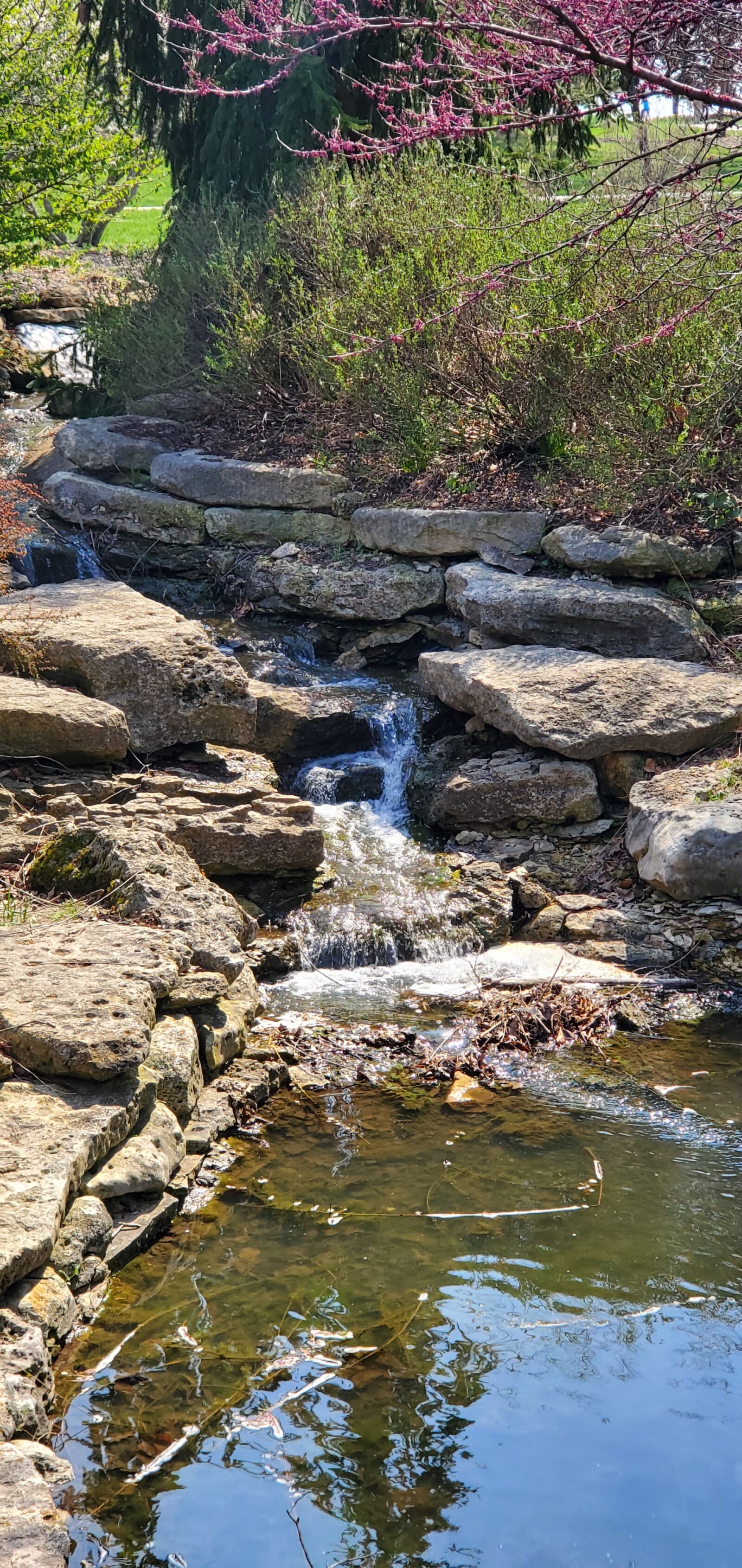 Samsung Galaxy S10 sample photo. Water, nature, park photography