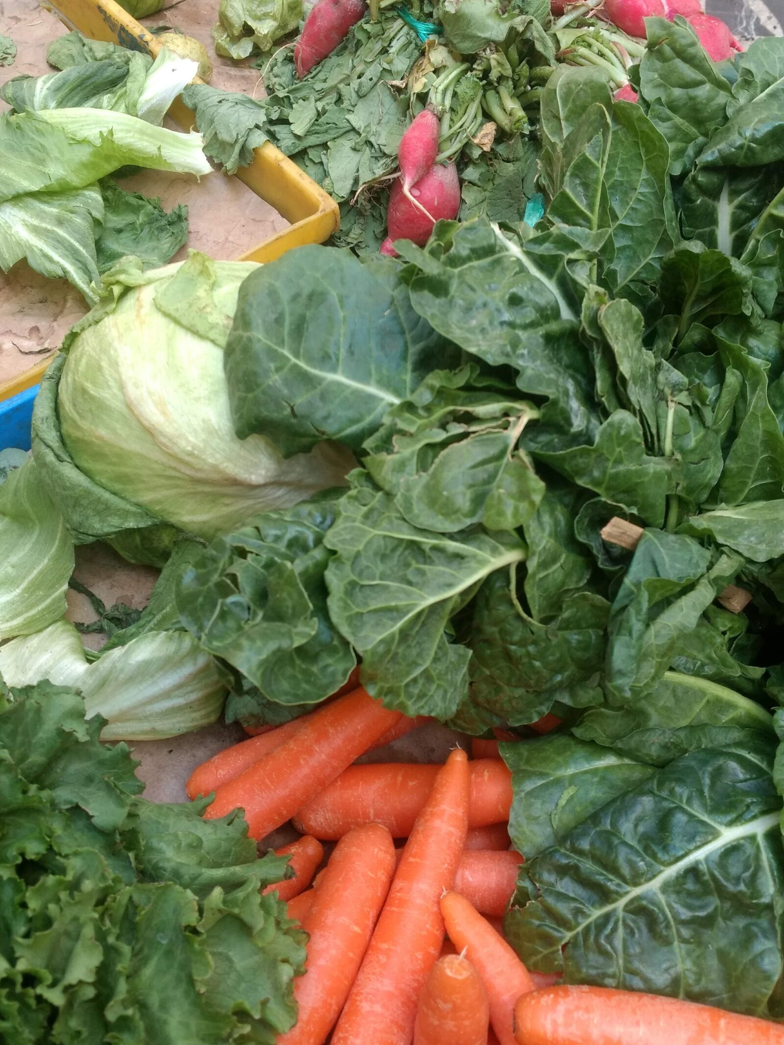 Motorola Moto G (4) sample photo. Vegetables, carrot, carrots photography