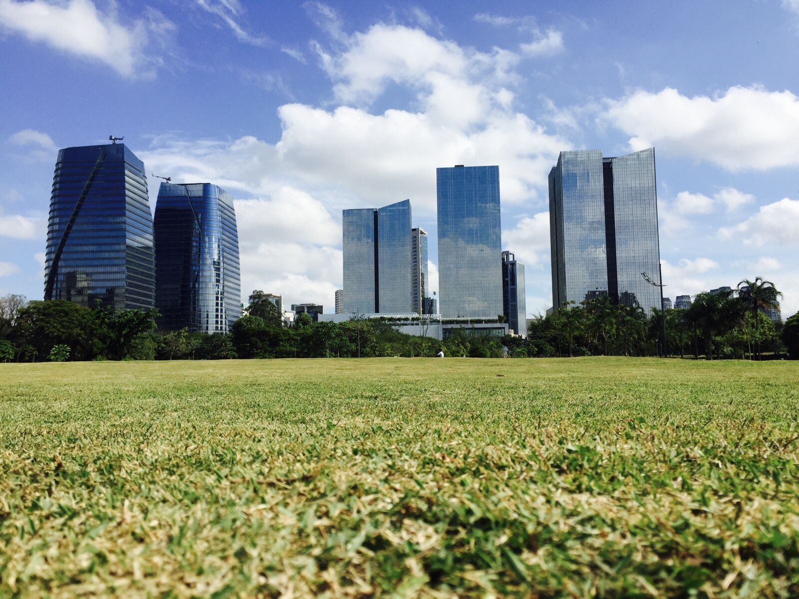 Apple iPhone 6 sample photo. Park, people's park, brazil photography