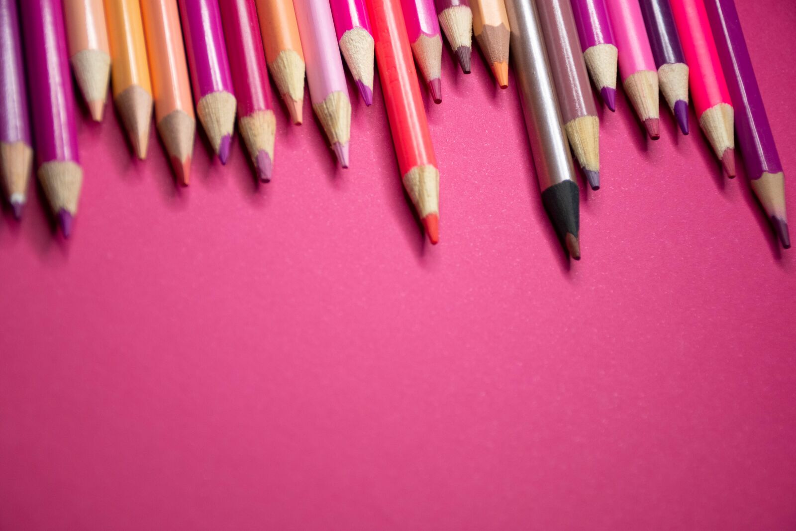 Nikon D7200 sample photo. School, art, education photography