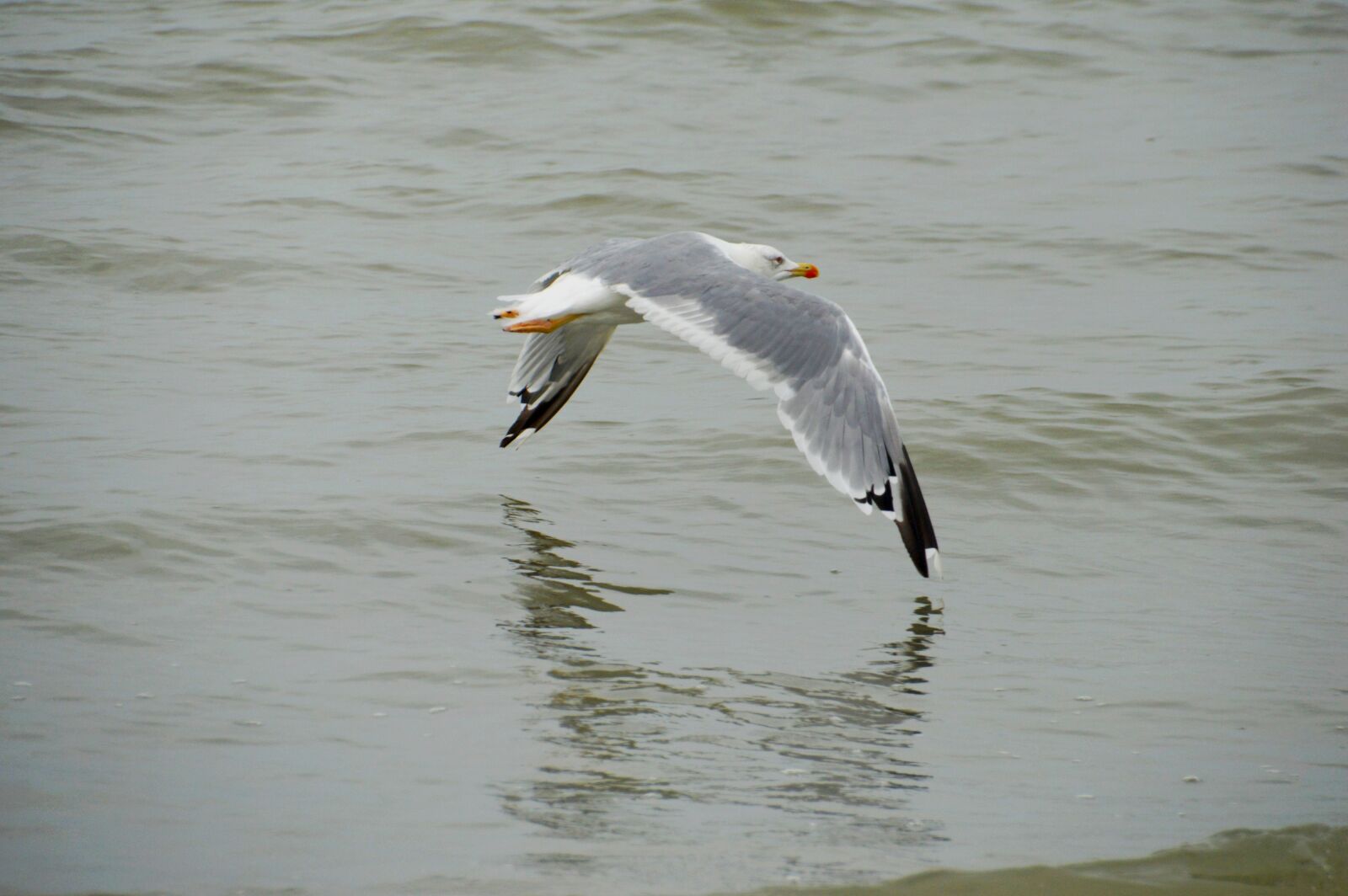 Nikon D3200 sample photo. Sea, beach, stella beach photography
