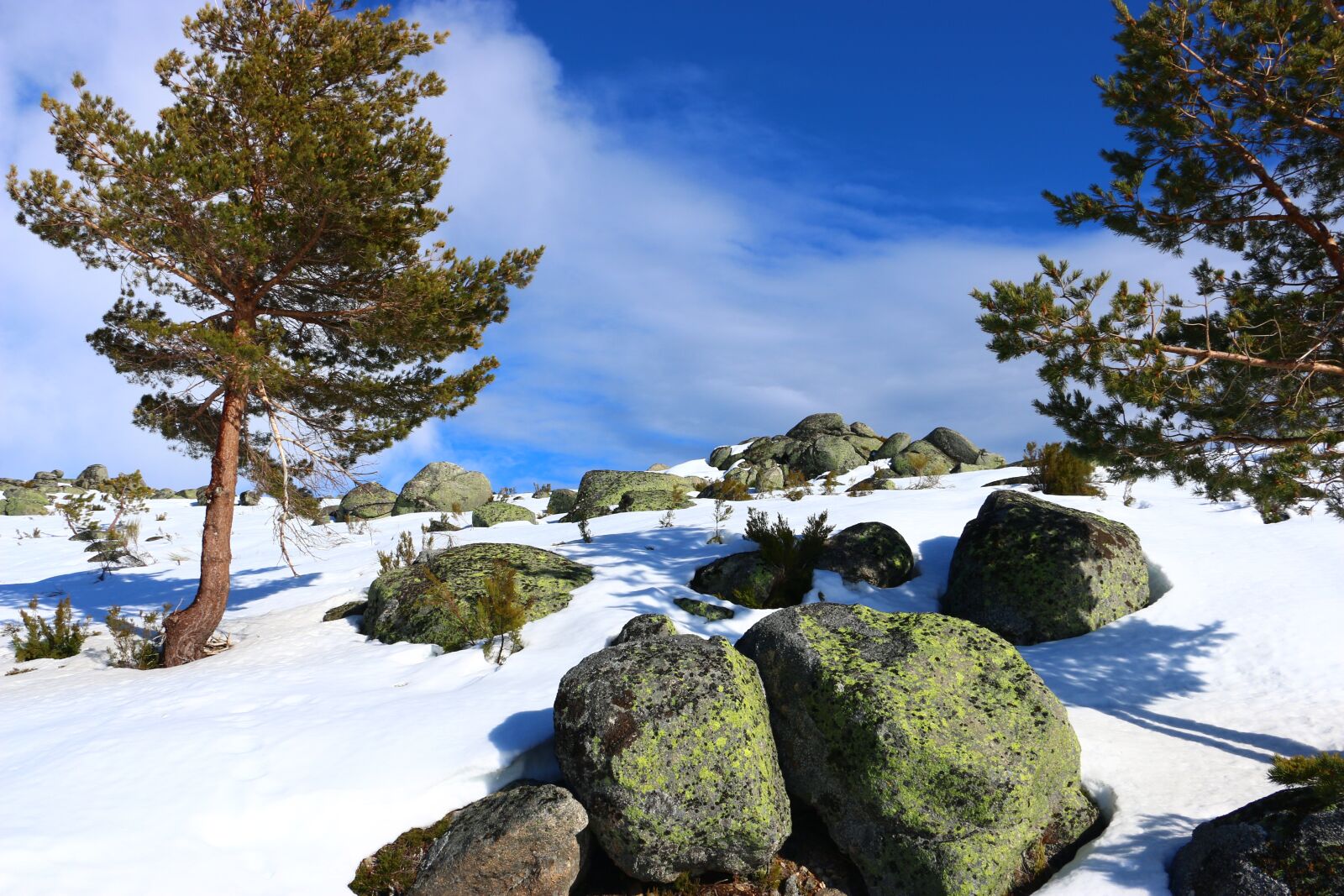 Canon EOS 70D sample photo. Snow, winter, landscape photography