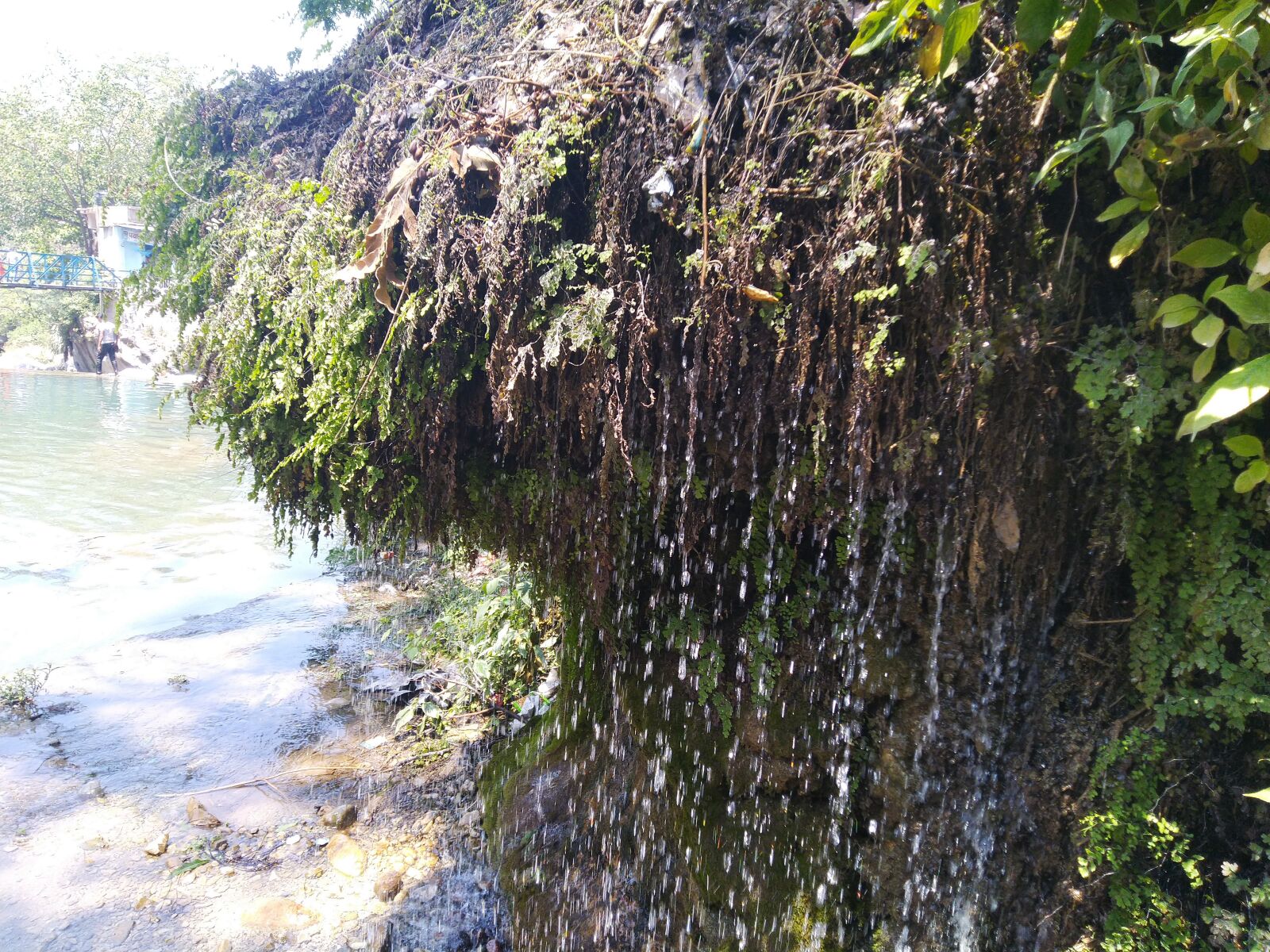 ASUS ZenFone Max Pro M1 (ZB602KL) (WW) / Max Pro M1 (ZB601KL) (IN) sample photo. Droppingwater, dehradun, india photography