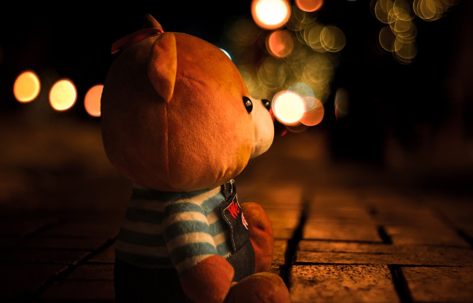 Canon EOS 60D sample photo. Teddy, bokeh, light photography