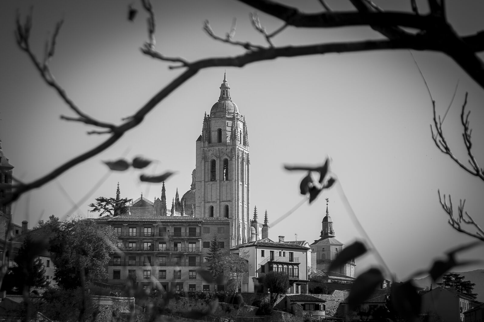 Nikon D3200 sample photo. Black, and, white, branches photography