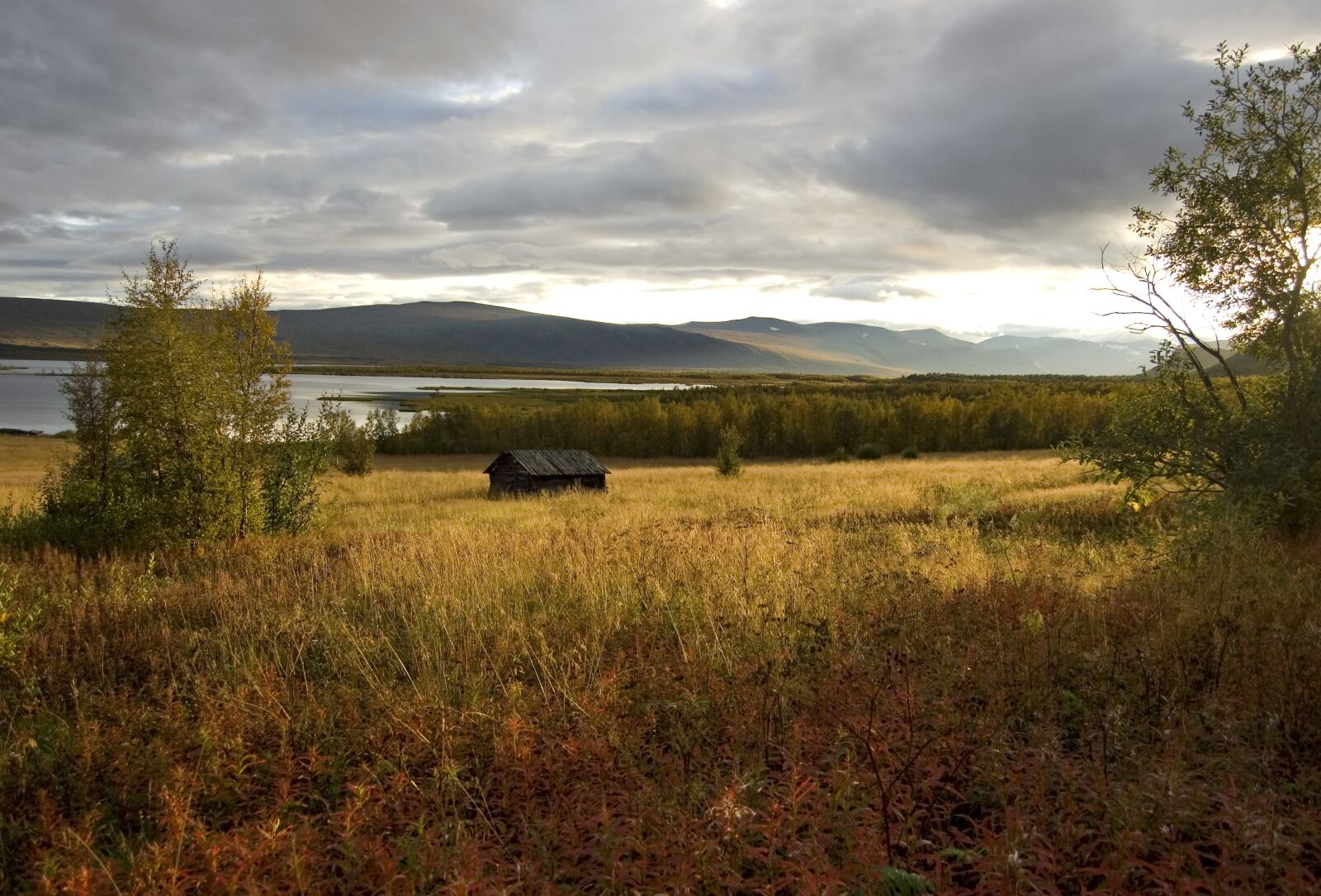 Nikon D40 sample photo. Bed, autumn, sweden photography