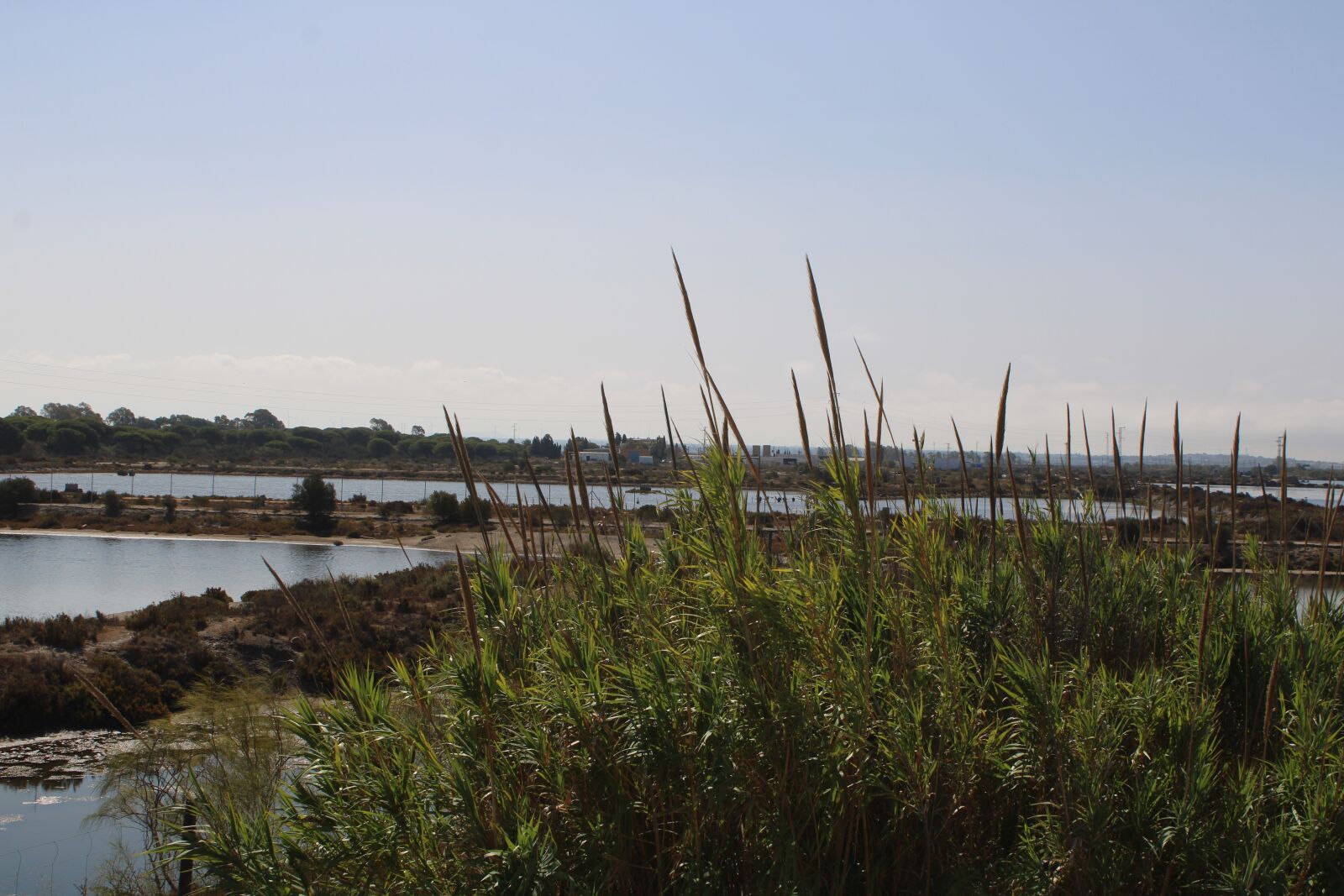 Canon EOS 2000D (EOS Rebel T7 / EOS Kiss X90 / EOS 1500D) sample photo. Valdelagrana, wetlands, the port photography