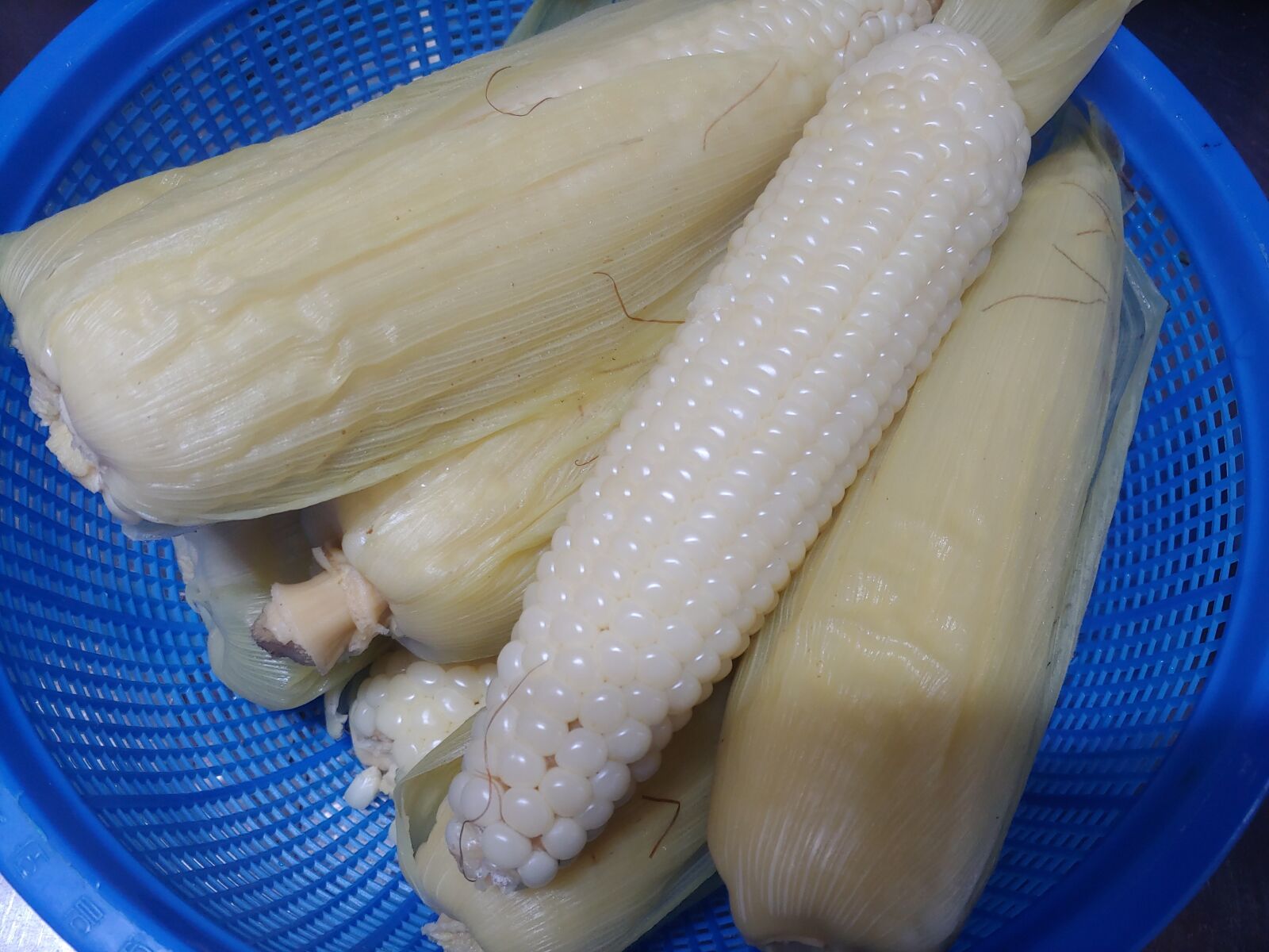 LG LM-G710N sample photo. Corn, summer, farming photography