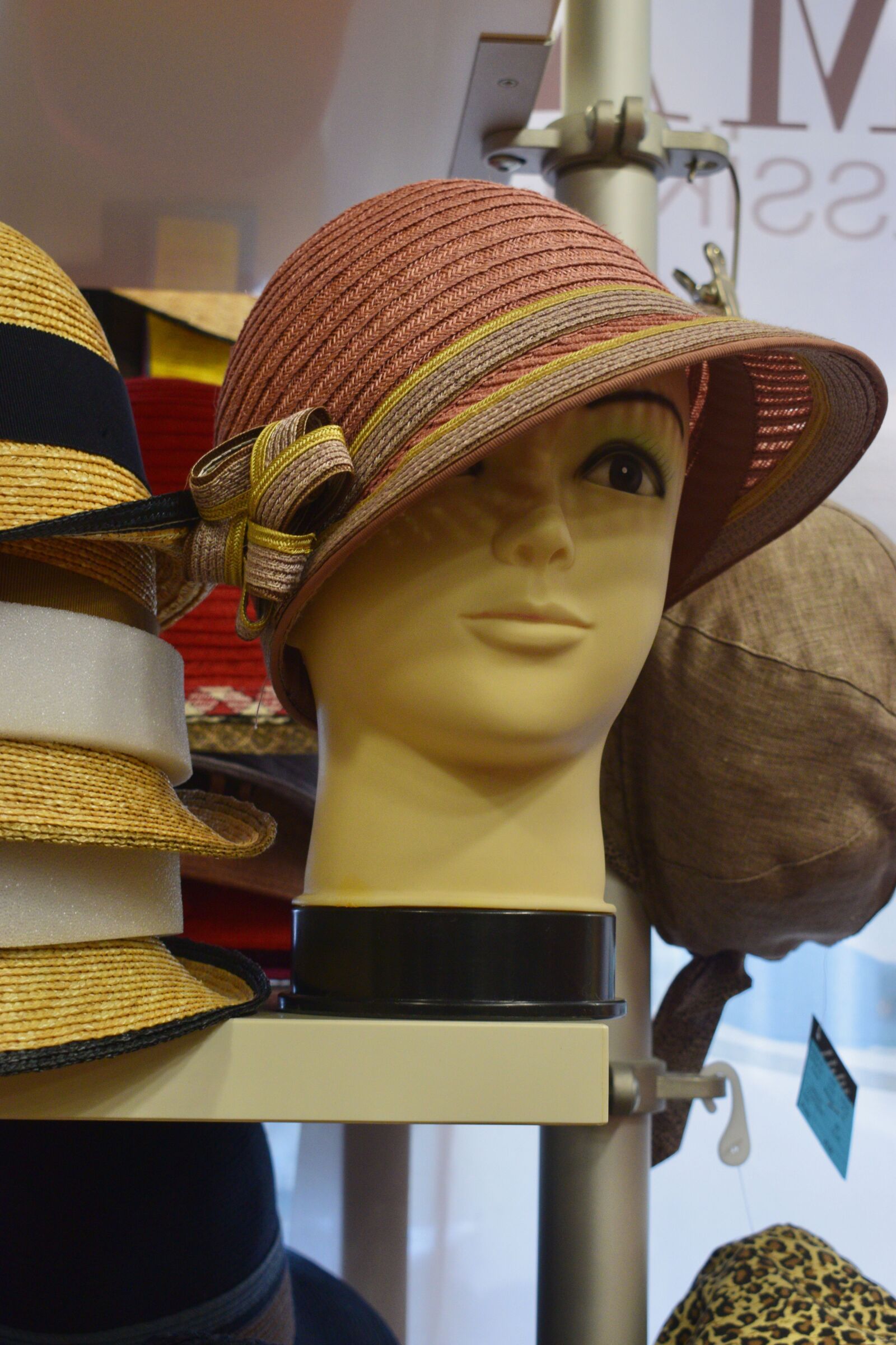 Nikon D3300 sample photo. Hat, straw, coneflower photography