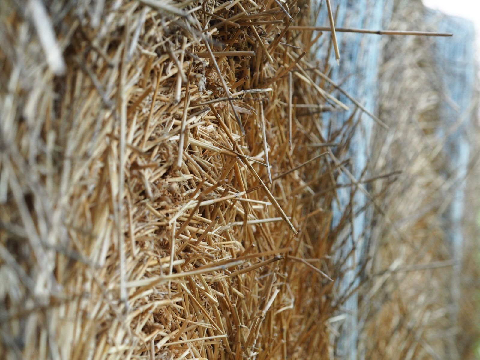 Olympus M.Zuiko Digital ED 60mm F2.8 Macro sample photo. Straw bales, straw, harvest photography