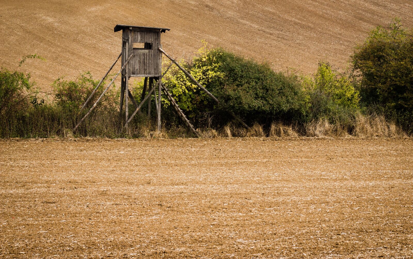 Canon EOS 700D (EOS Rebel T5i / EOS Kiss X7i) sample photo. Bryony, session, field photography