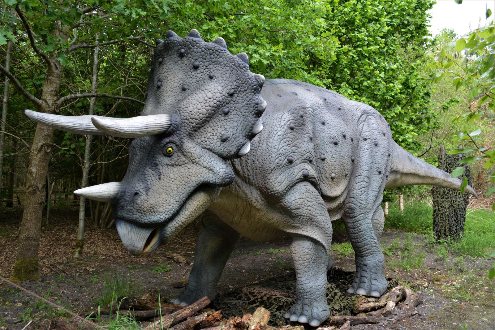 Nikon D5200 sample photo. Dinosaur, dino, carnivorous dinosaurs photography