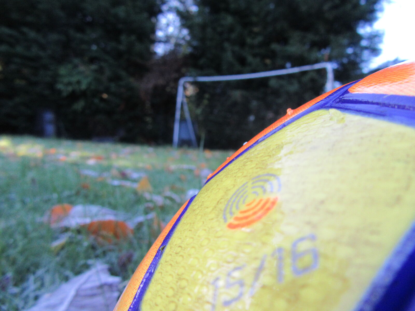 Canon PowerShot SX610 HS sample photo. Ball, bpl, football, thebartyparty photography