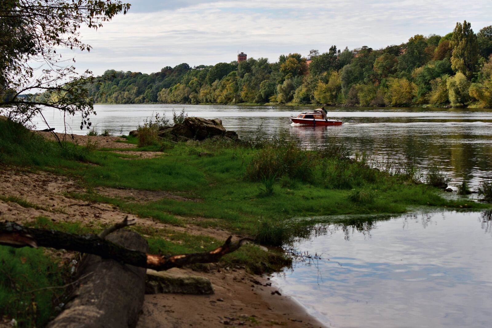 Nikon D7500 sample photo. Narev, river, green photography