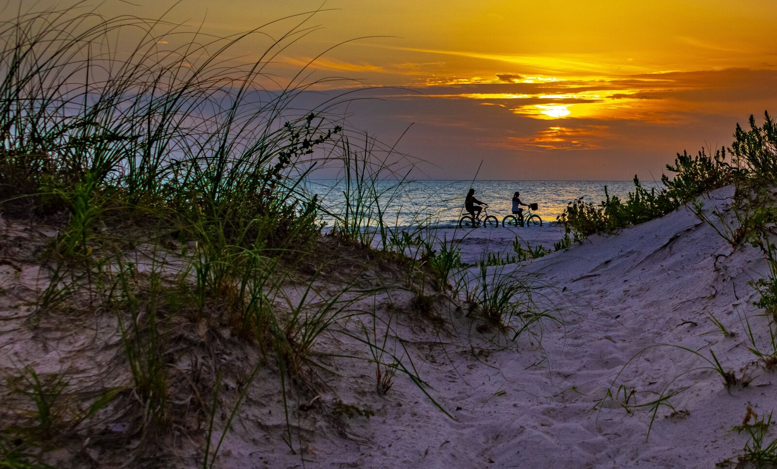 Nikon D850 sample photo. Sunset, gulf, florida photography