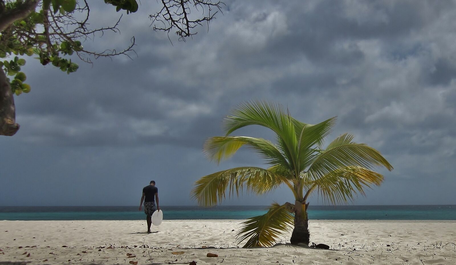 Canon PowerShot SD1300 IS (IXUS 105 / IXY 200F) sample photo. Aruba, palm tree, surfer photography