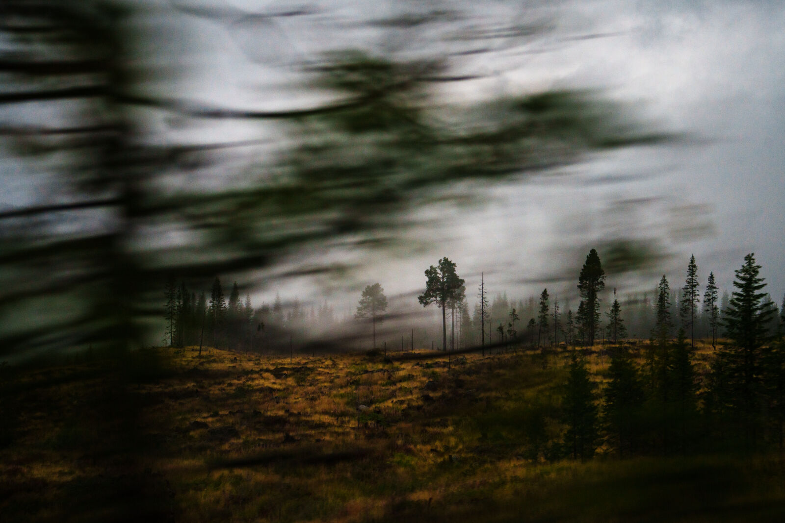 Sony a7R V sample photo. Landscape passing photography