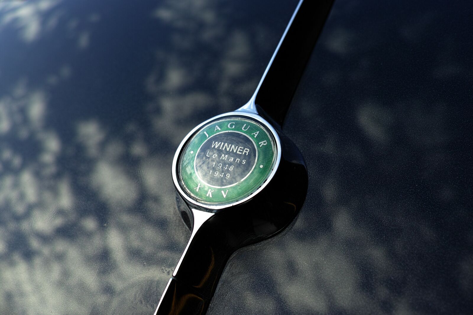 Sigma DP1 Merrill sample photo. Car, logo, reflection photography