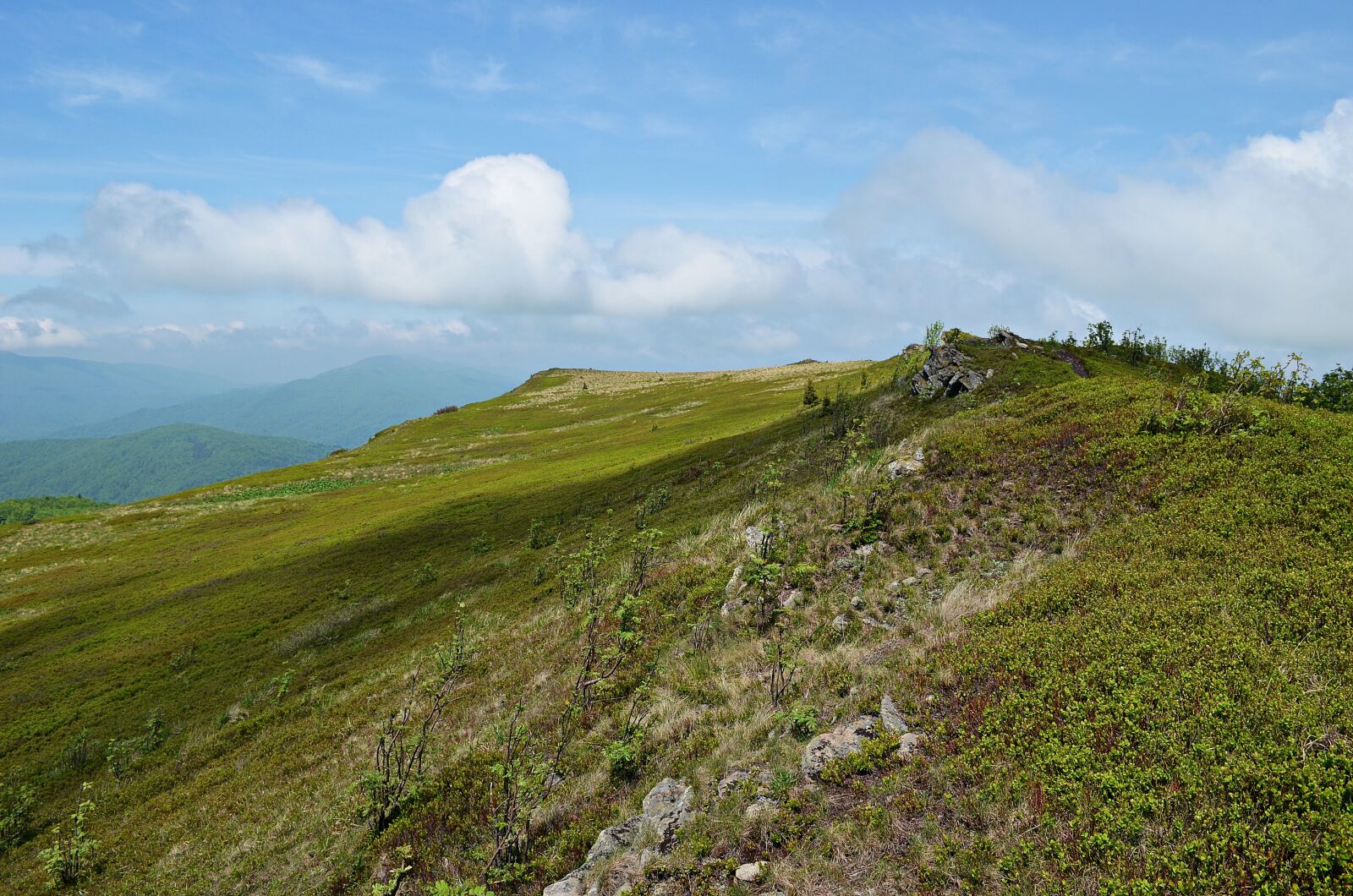 Nikon D5100 sample photo. Mountains, landscape, bieszczady photography