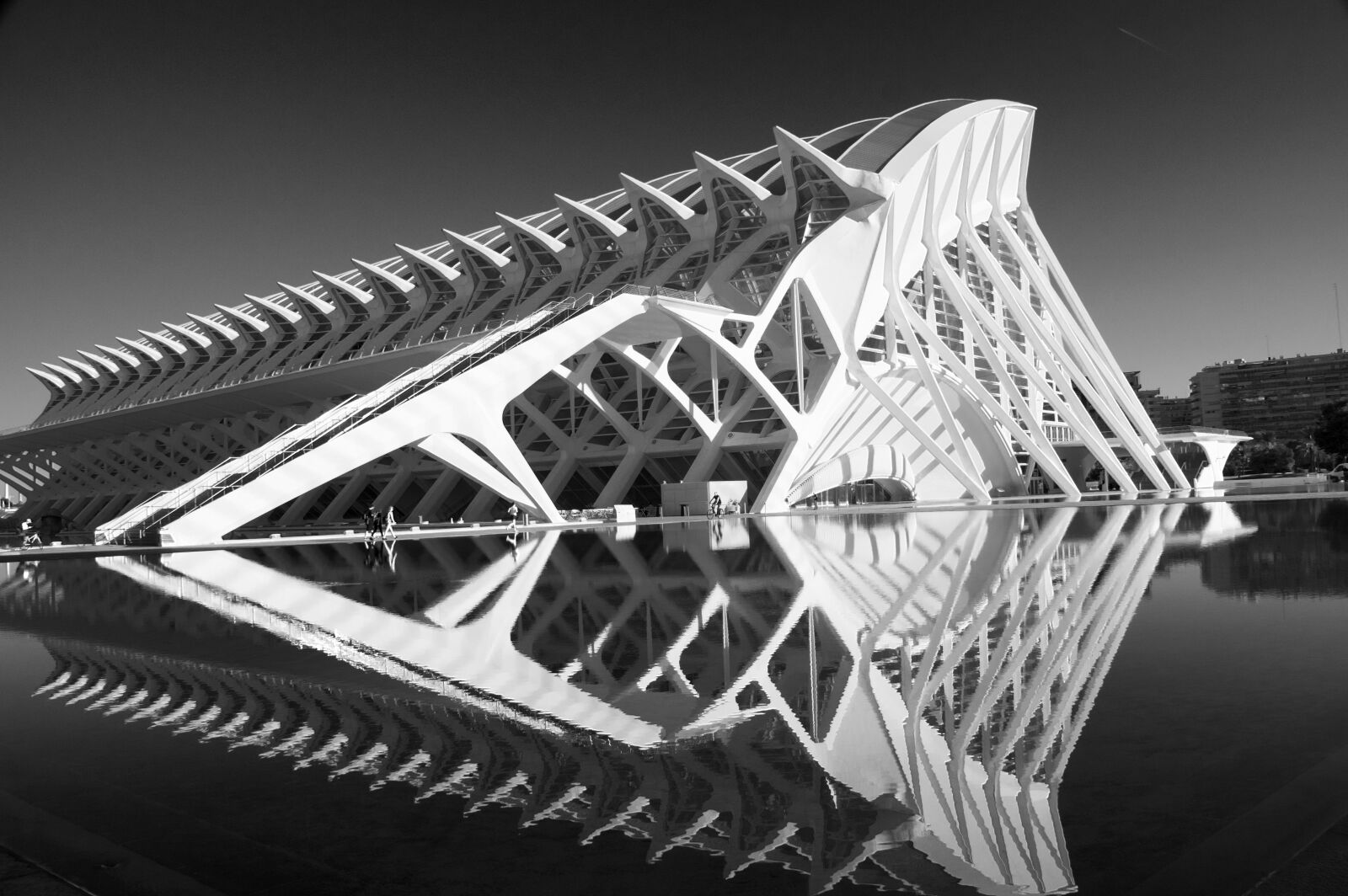Nikon D5300 sample photo. Valencia, museum, black white photography