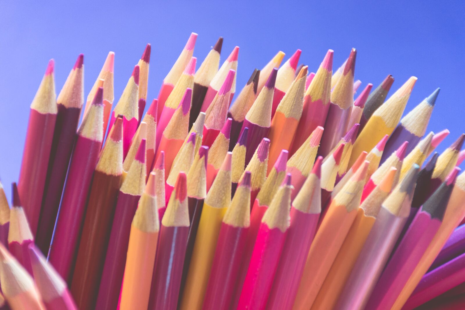 Nikon D7200 sample photo. Pencils, pink, purple photography