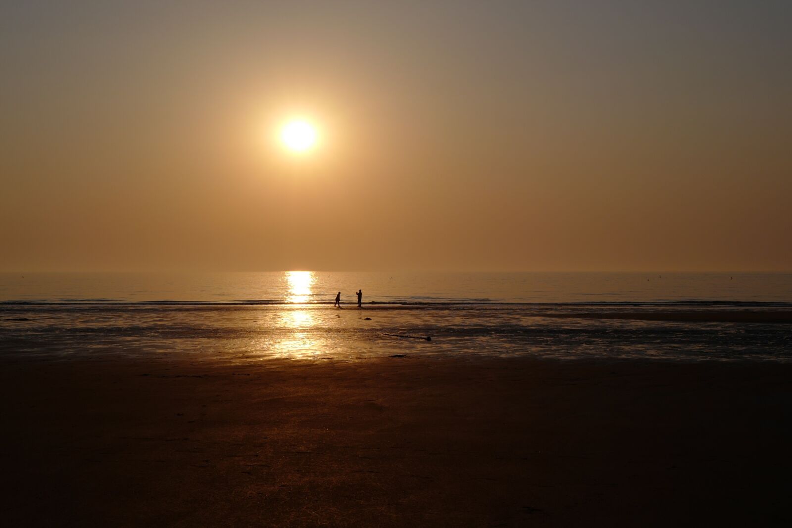 Leica Q (Typ 116) sample photo. Sunset, gold, beautiful photography