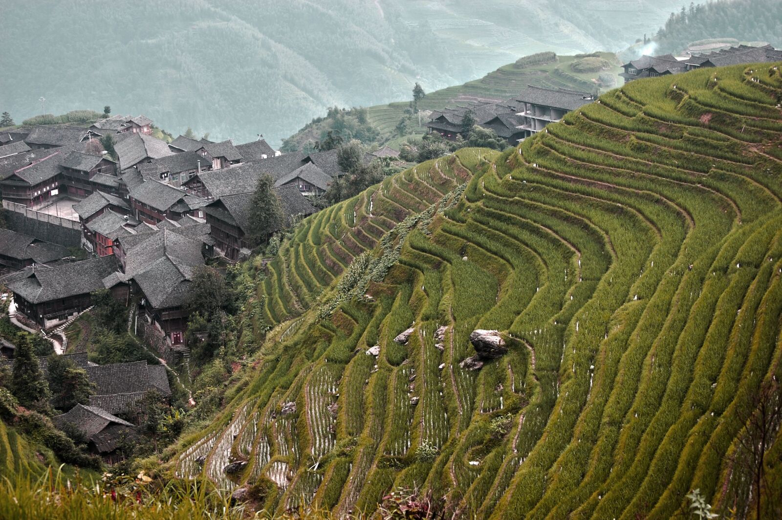 Nikon D40 sample photo. Rice fields, china, view photography