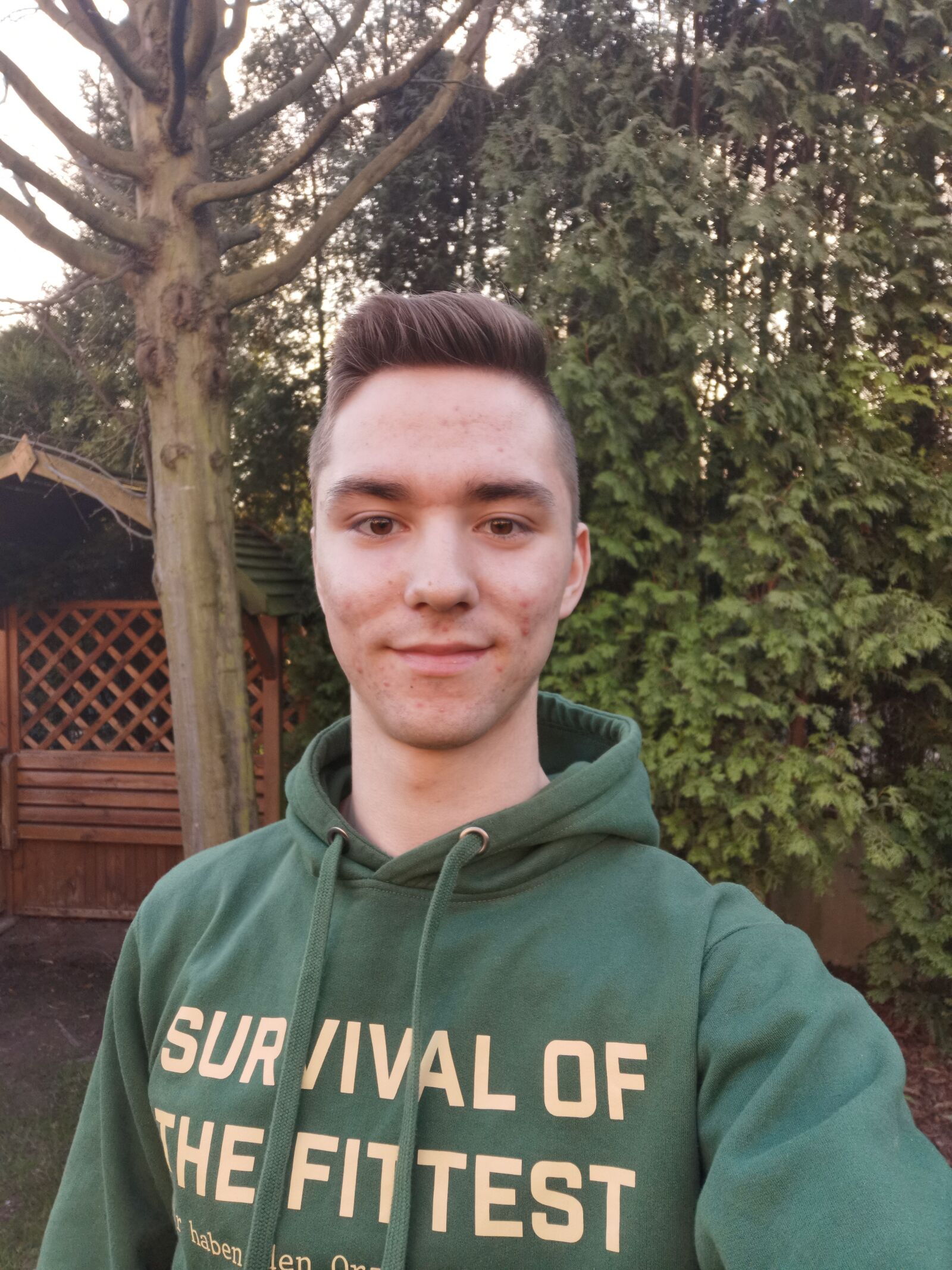 HUAWEI P30 sample photo. Boy, men, 18 yo photography