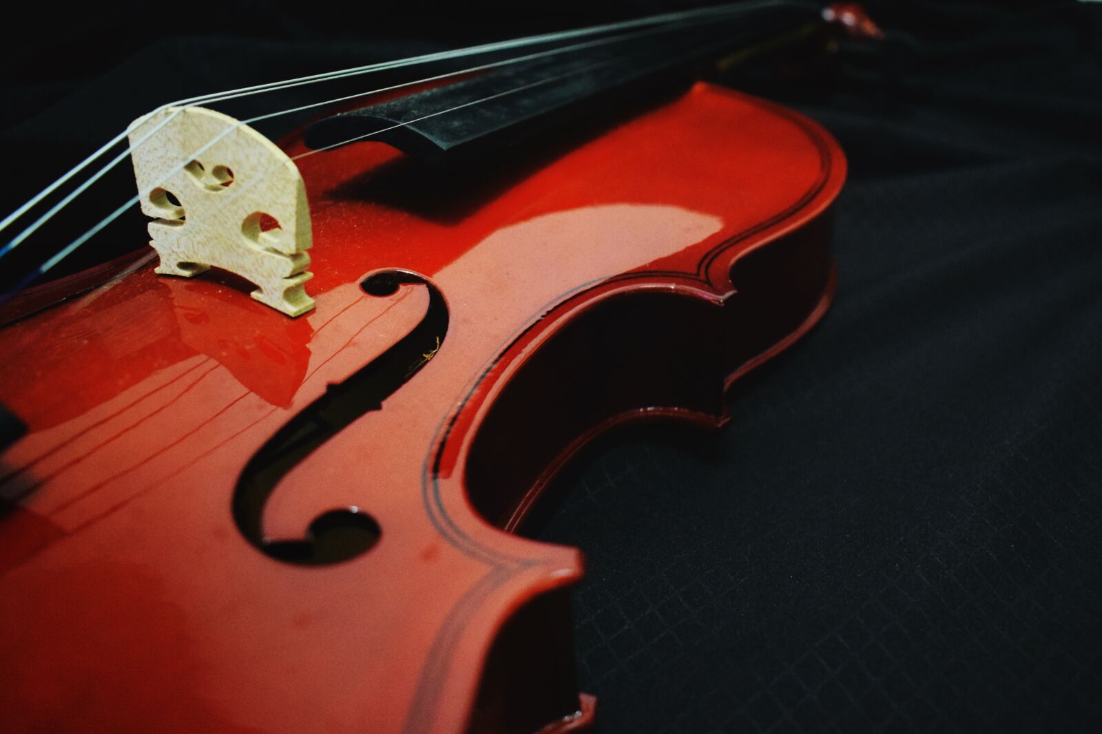 Nikon D5300 sample photo. Violin, music, design photography