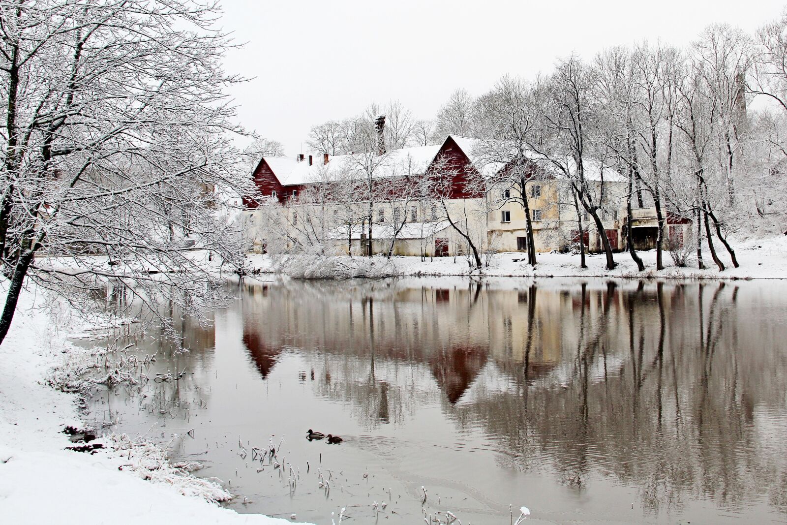 Canon EOS 60D sample photo. Winter, snow, cold photography