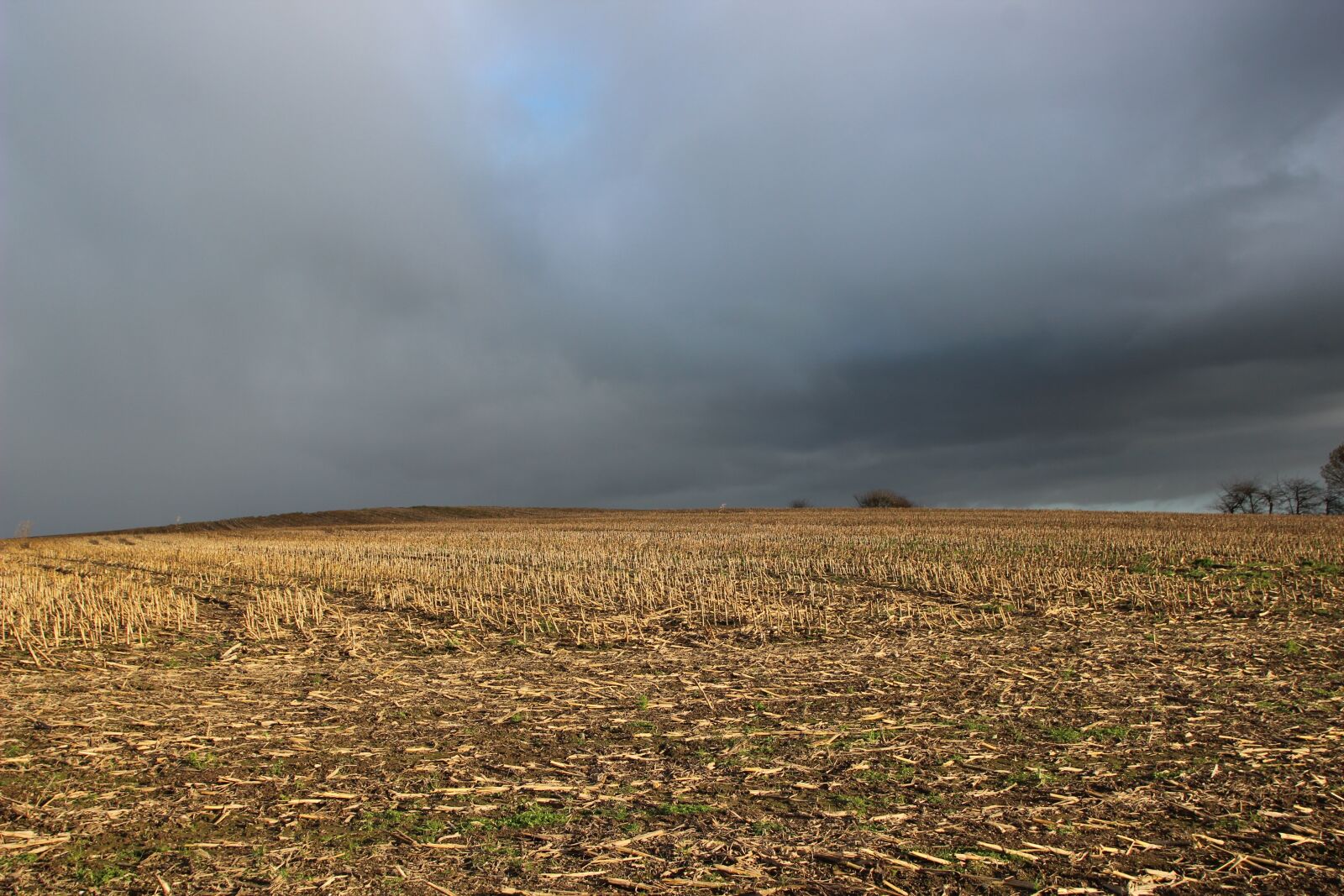Canon EOS 600D (Rebel EOS T3i / EOS Kiss X5) sample photo. Stubble, clouds, harvested photography