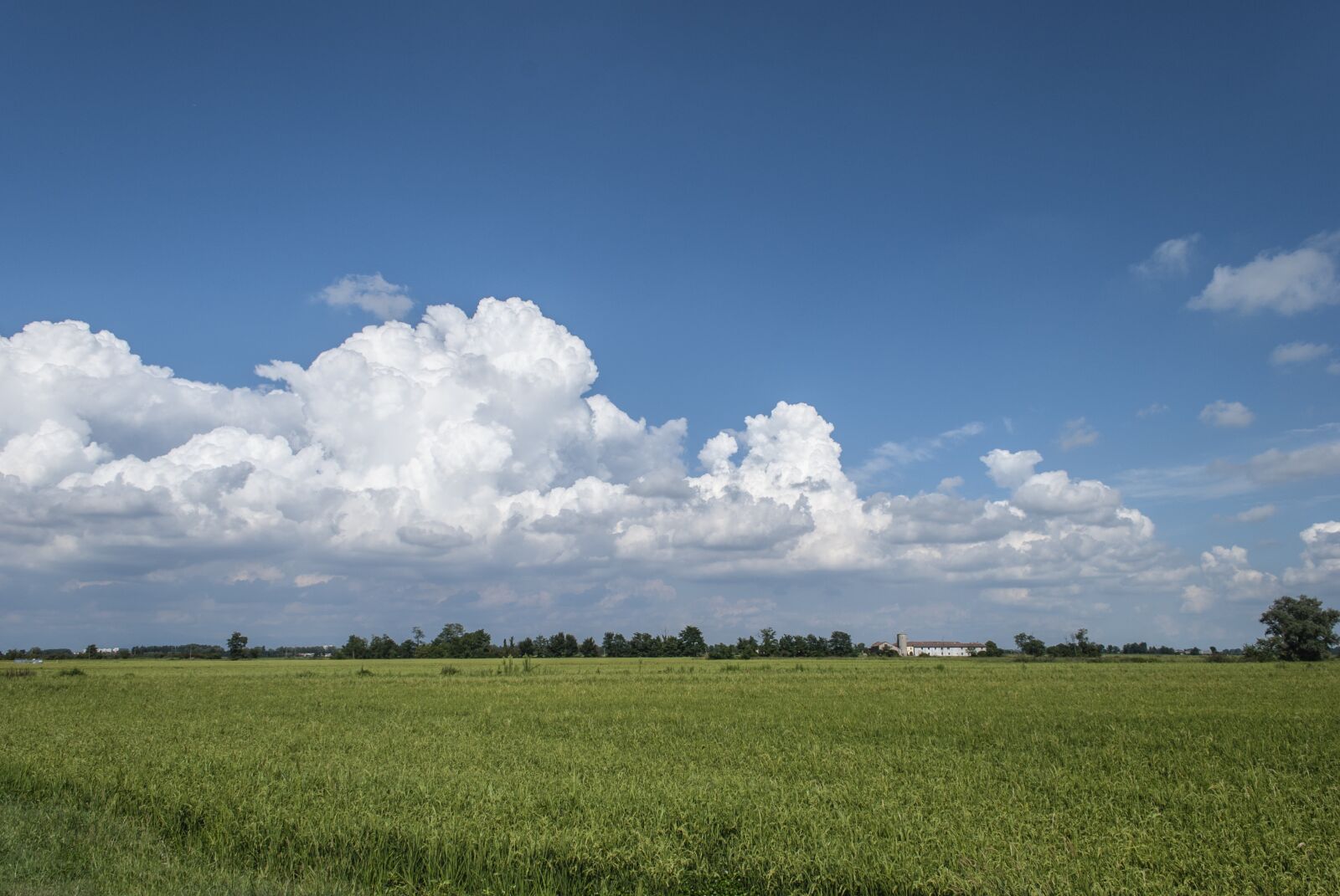 Nikon D60 sample photo. Plain, sky, nature photography