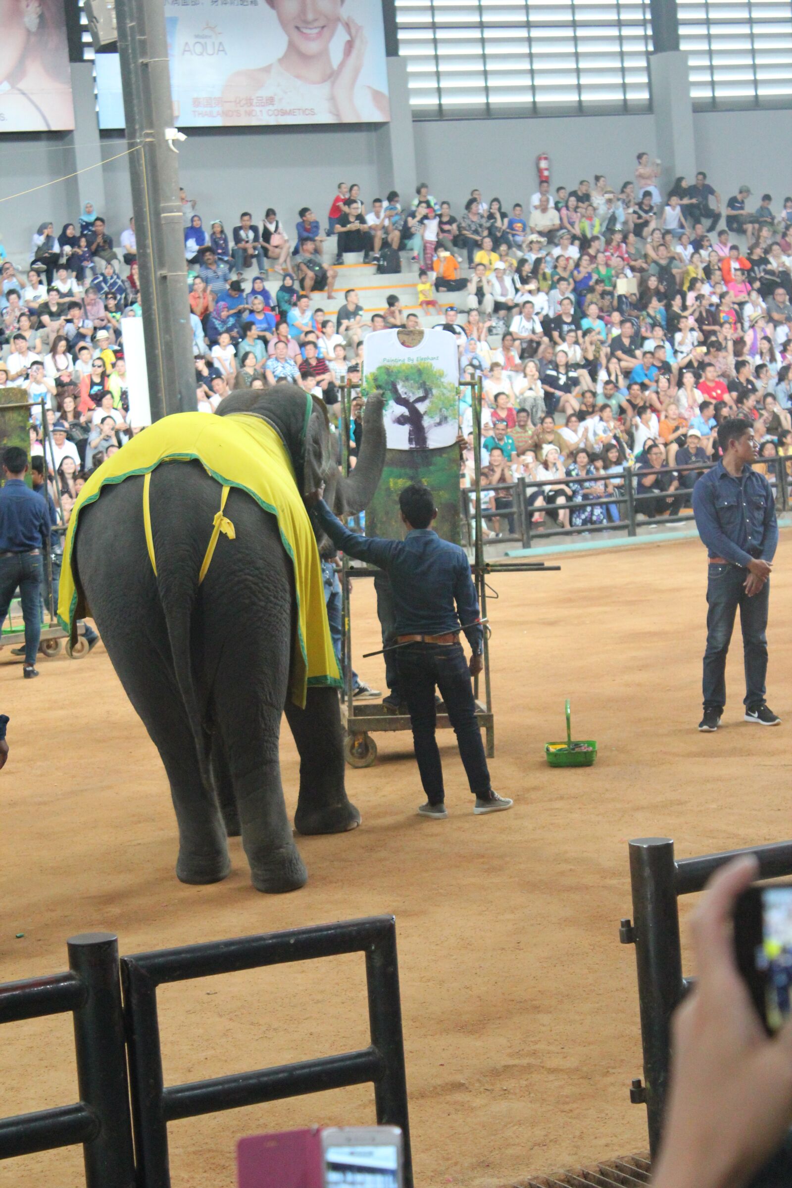 Canon EOS 550D (EOS Rebel T2i / EOS Kiss X4) sample photo. Wonderfull, elephant, thailand photography