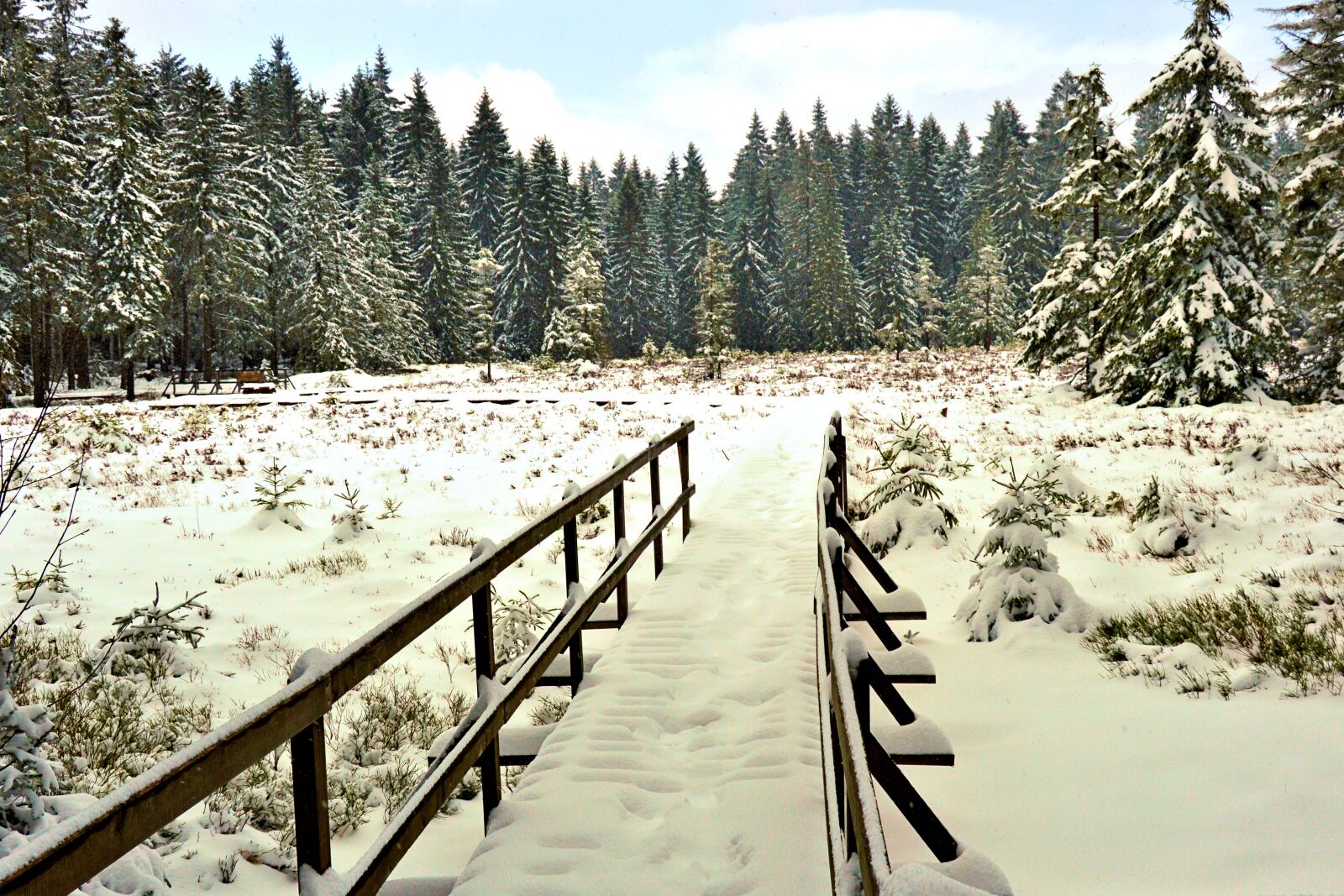 Nikon D3200 sample photo. Winter, bridge, railing photography