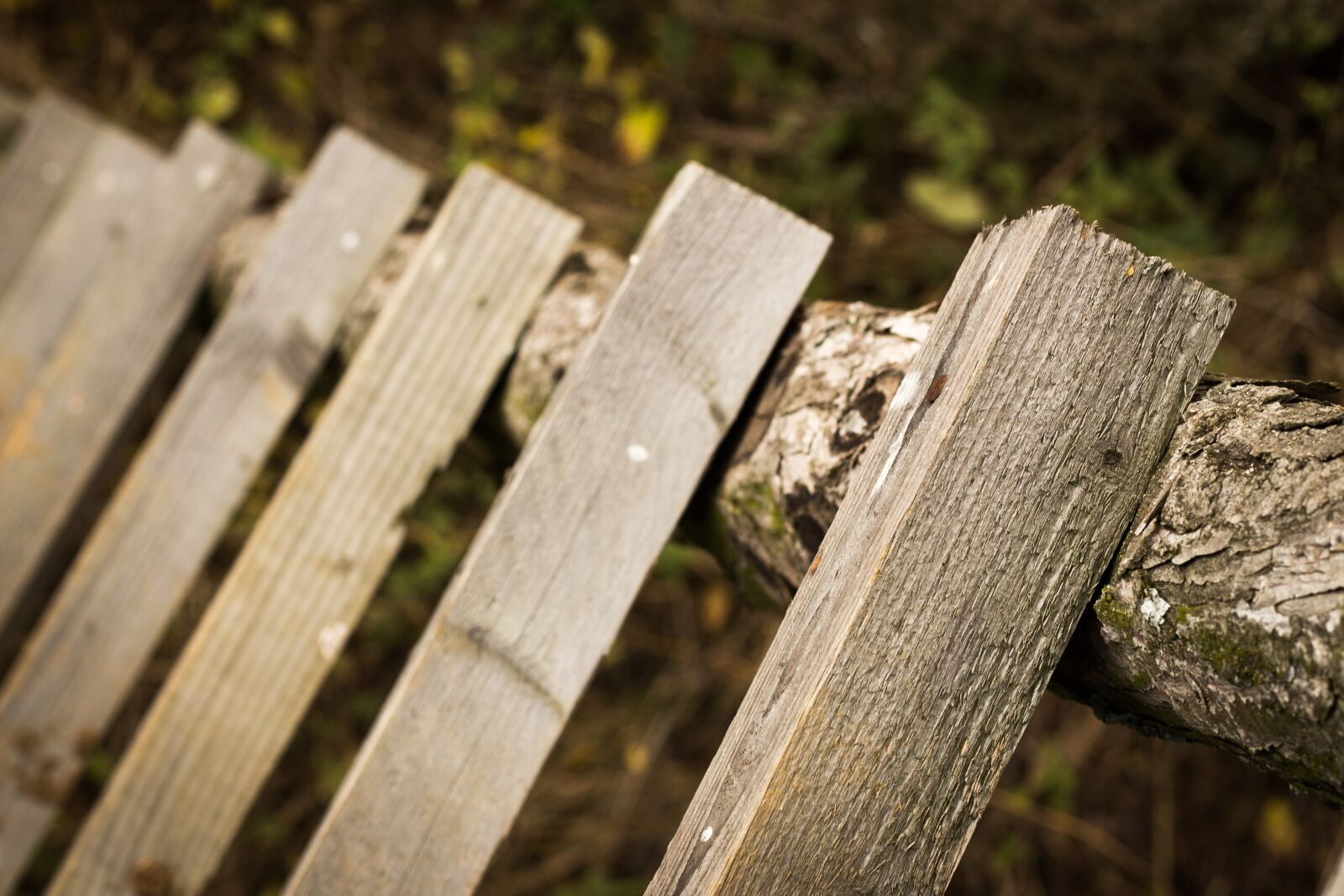 Canon EOS 700D (EOS Rebel T5i / EOS Kiss X7i) sample photo. Travel, path, long way photography